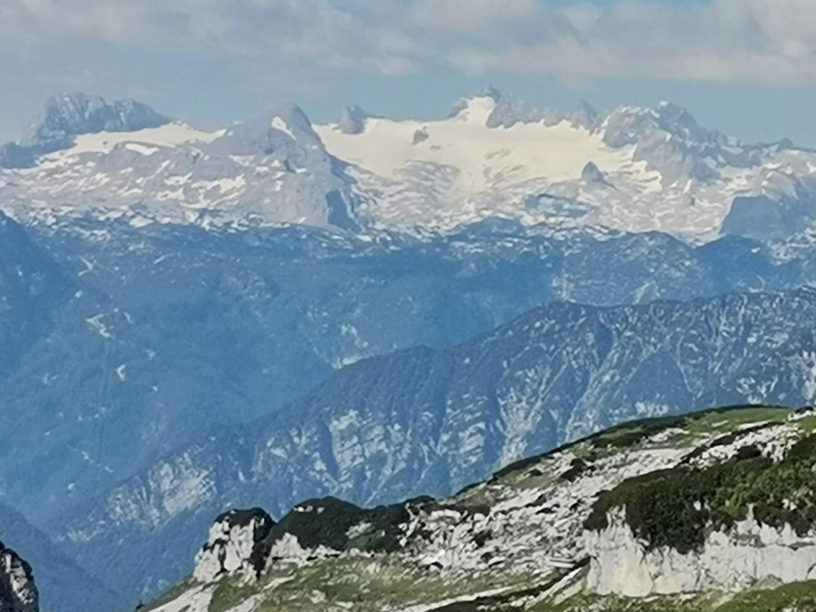 Gütl Plank