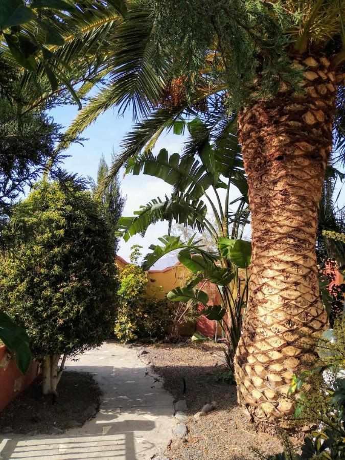 VV Finca Jorsam Private Pool & Sea Views view 3