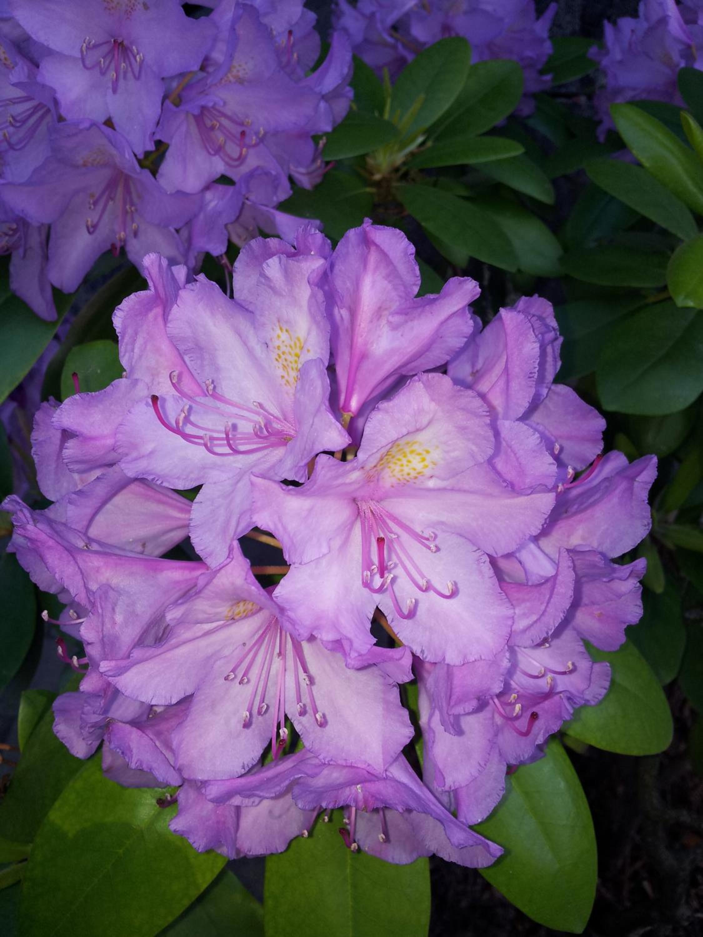 Photo 34