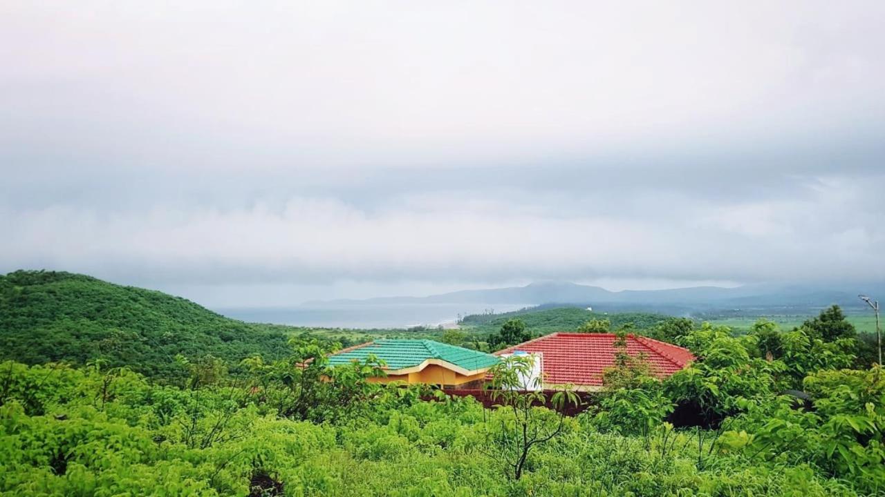 Photo 48