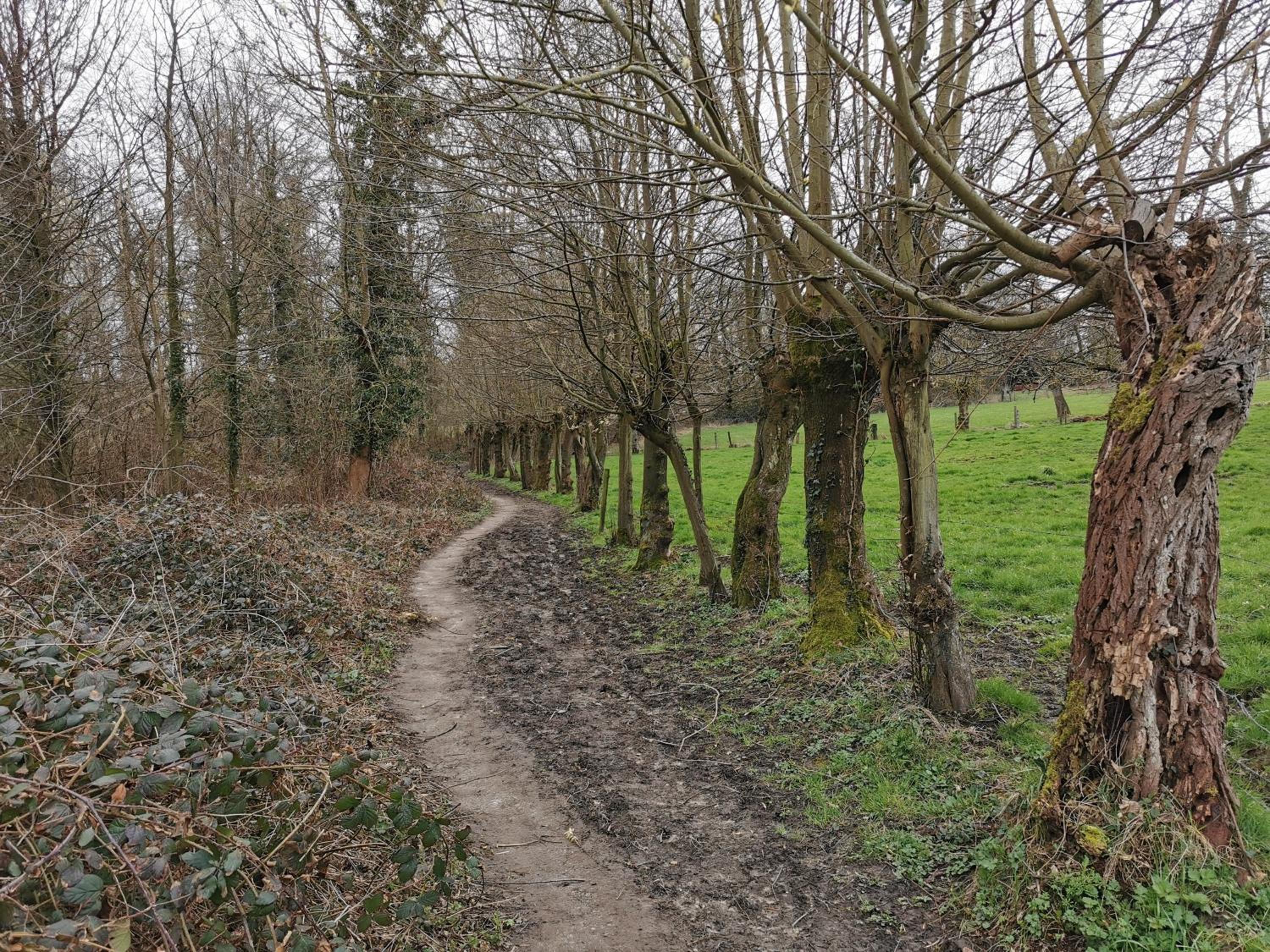 De Groene Hoeve