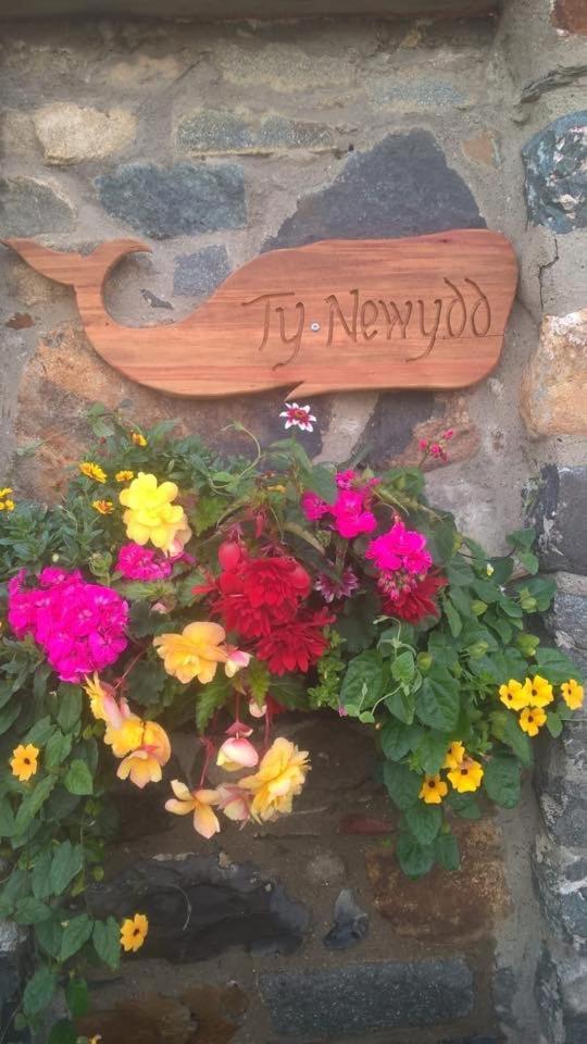Ty Newydd North Wales Escape
