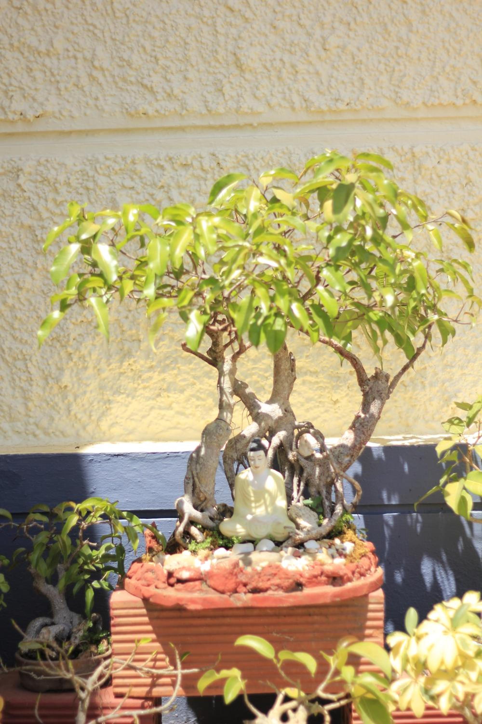 Meeslu Mane, The Chic HomeStay view 3