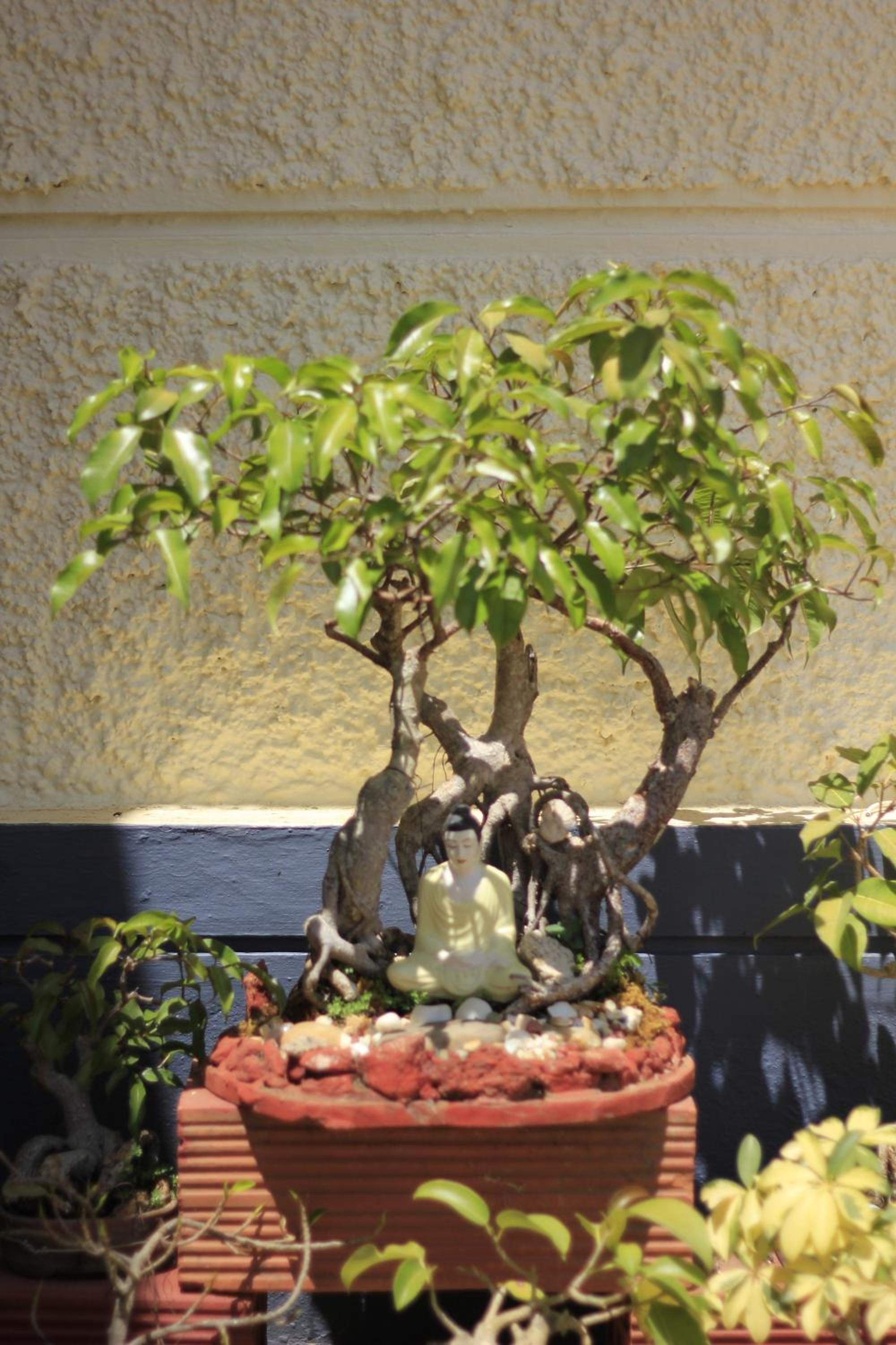Photo 7