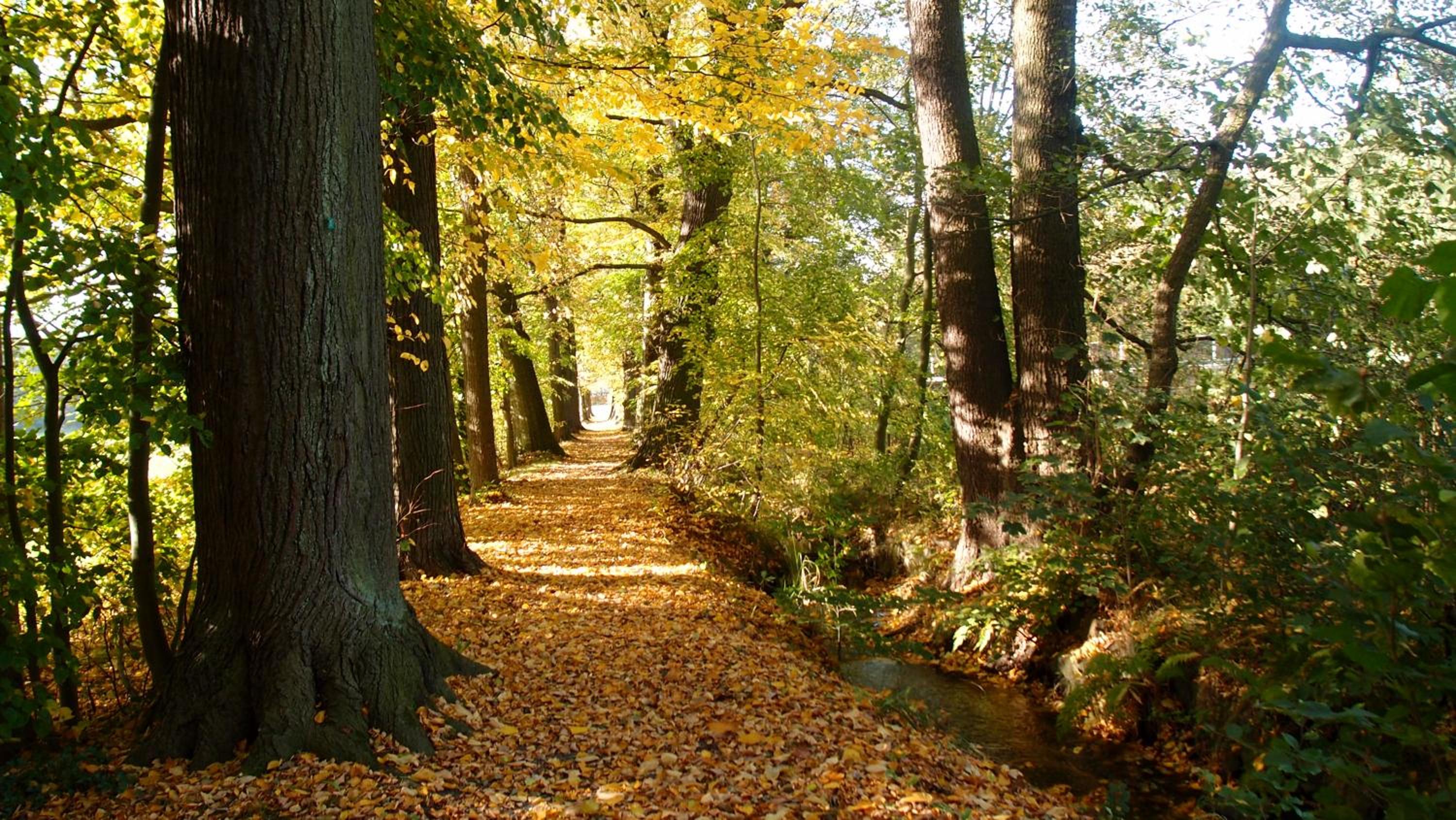 Ferienwohnung und Pension 