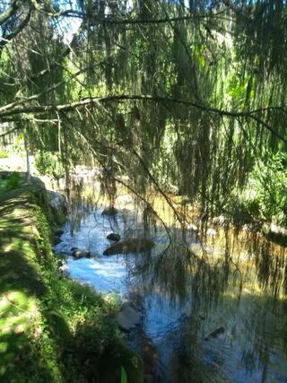 Bangalo a beira do rio em plena natureza
