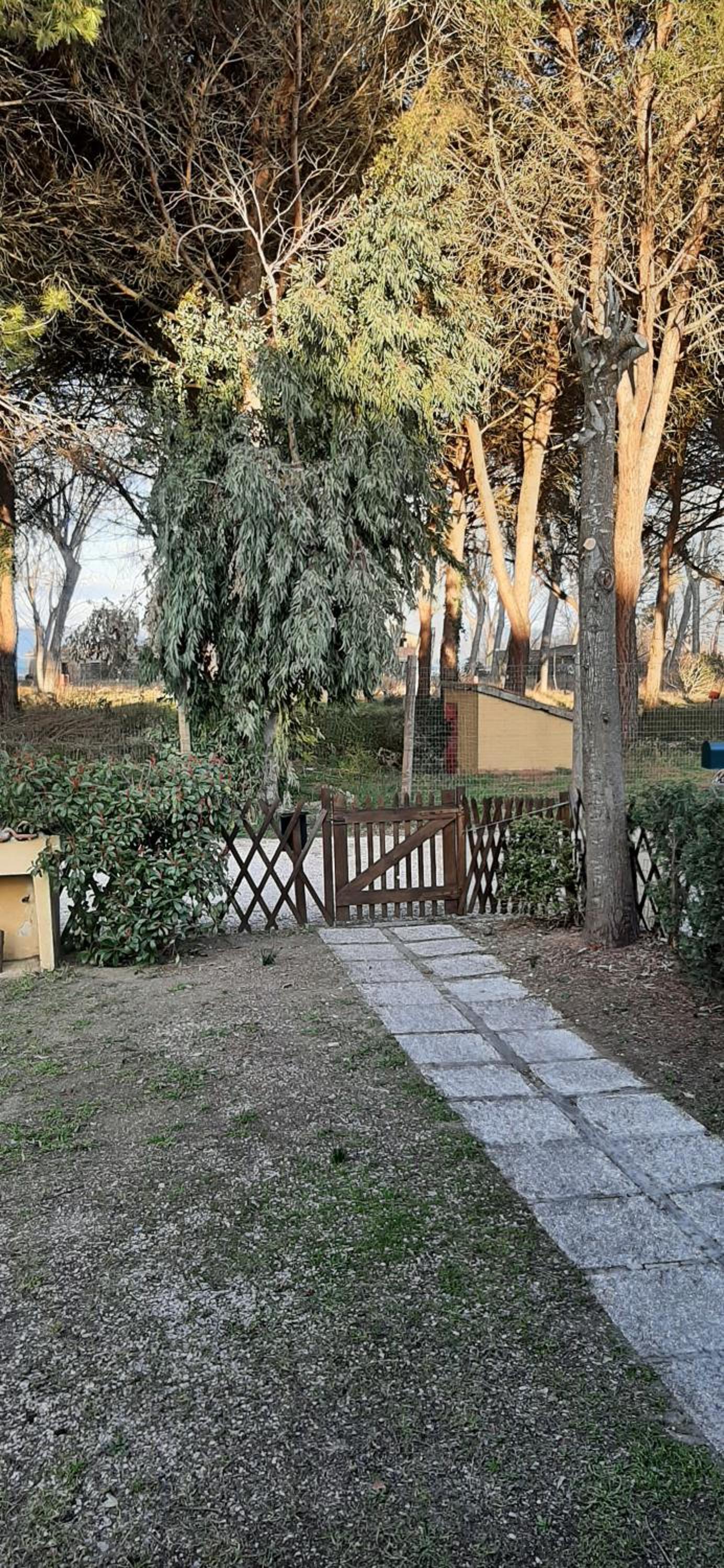 Albachiara