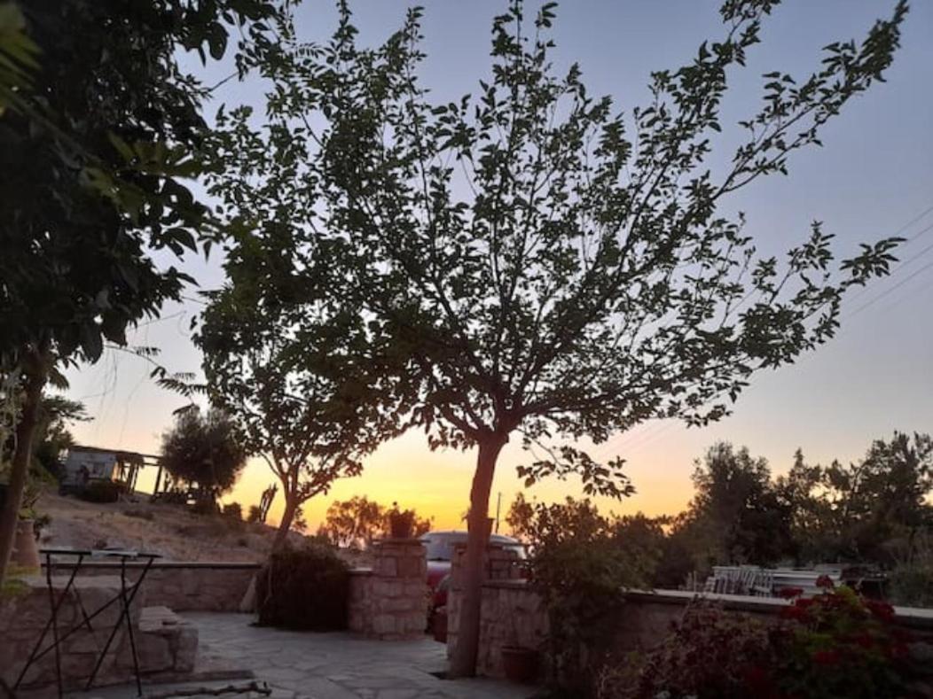 Oikonomakis view 5