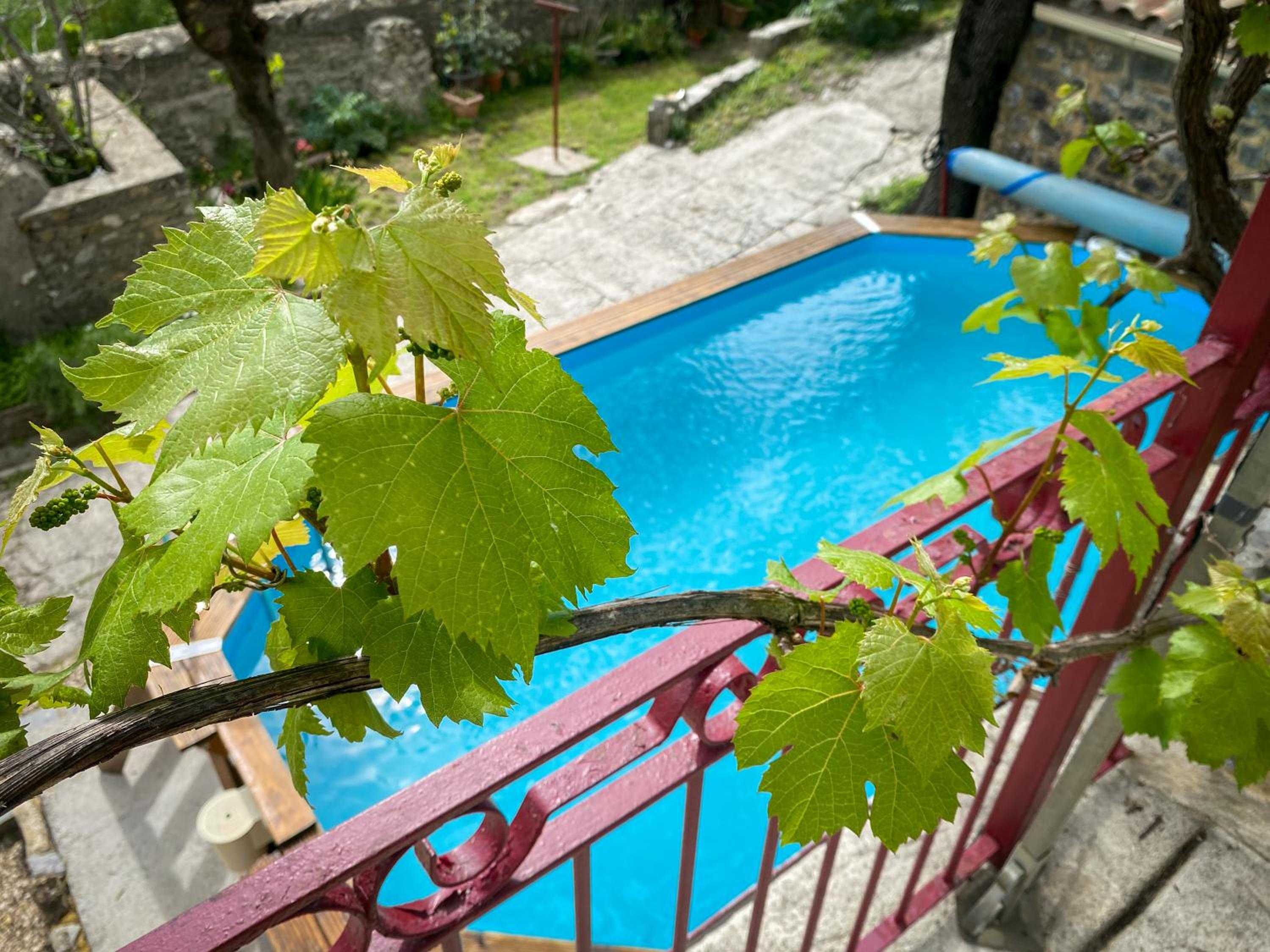 Mas Bourdaric - Location de Gites en Ardeche du Sud view 2