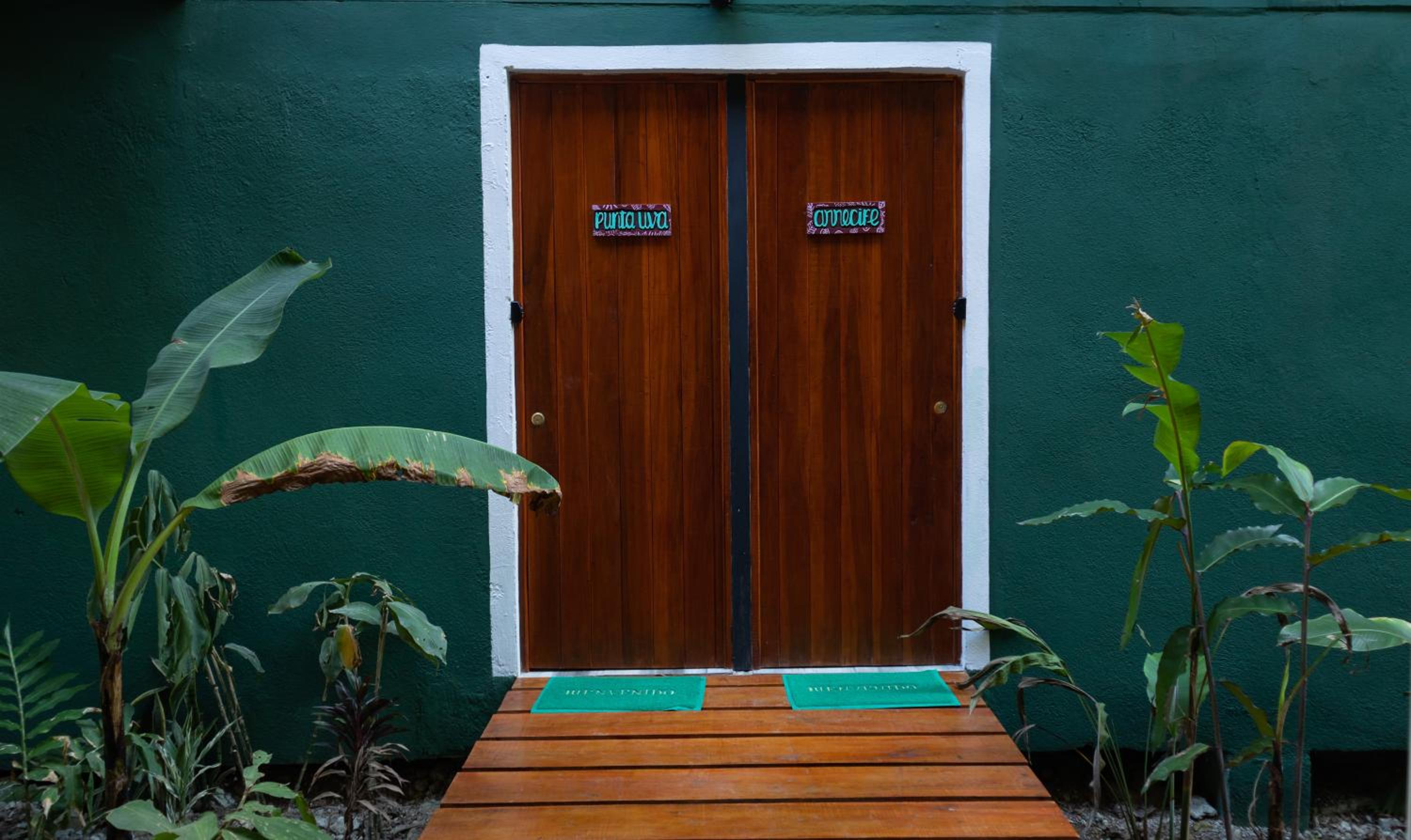Hotel Boutique The Green Jungle House
