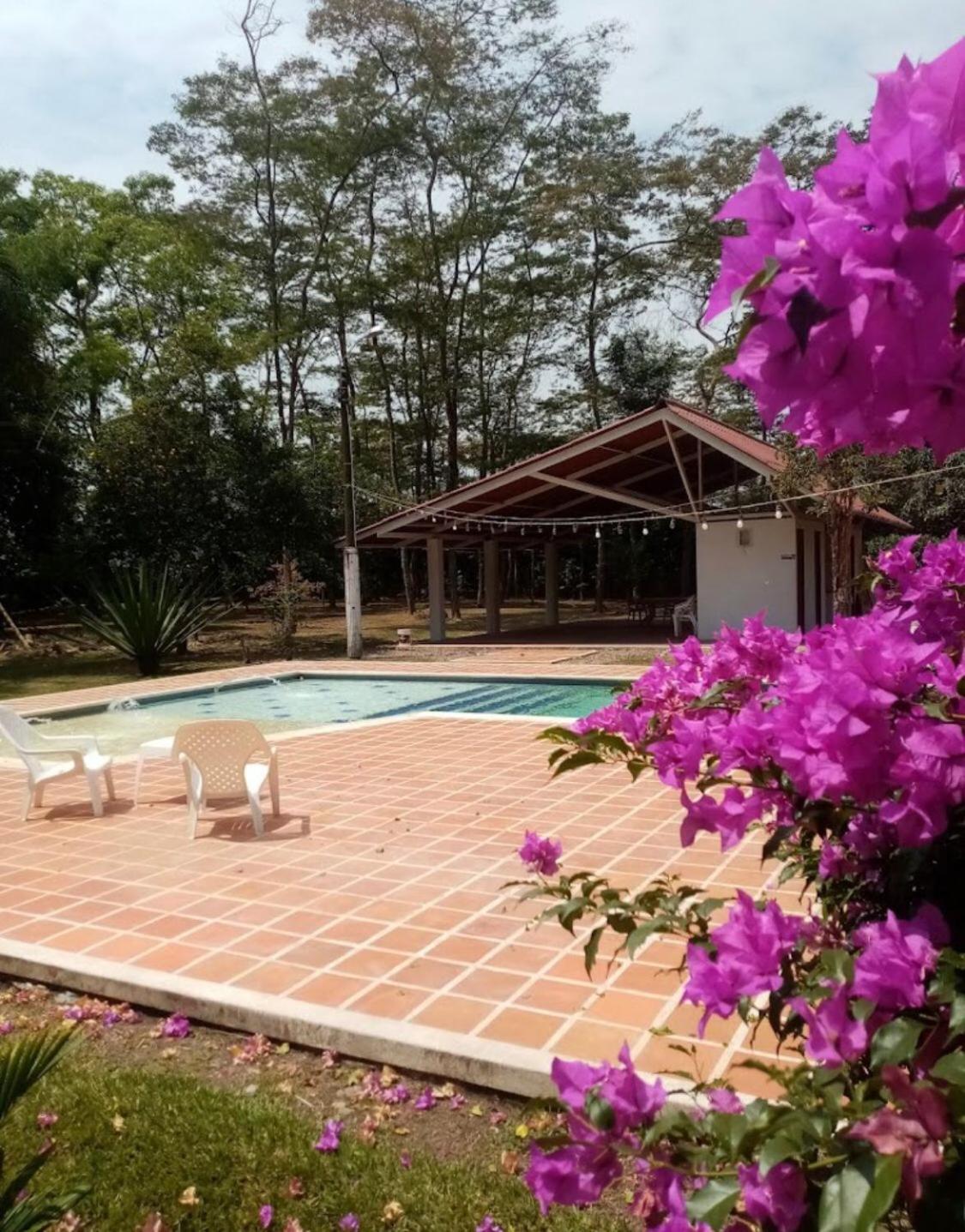 Finca La Dacha view 4