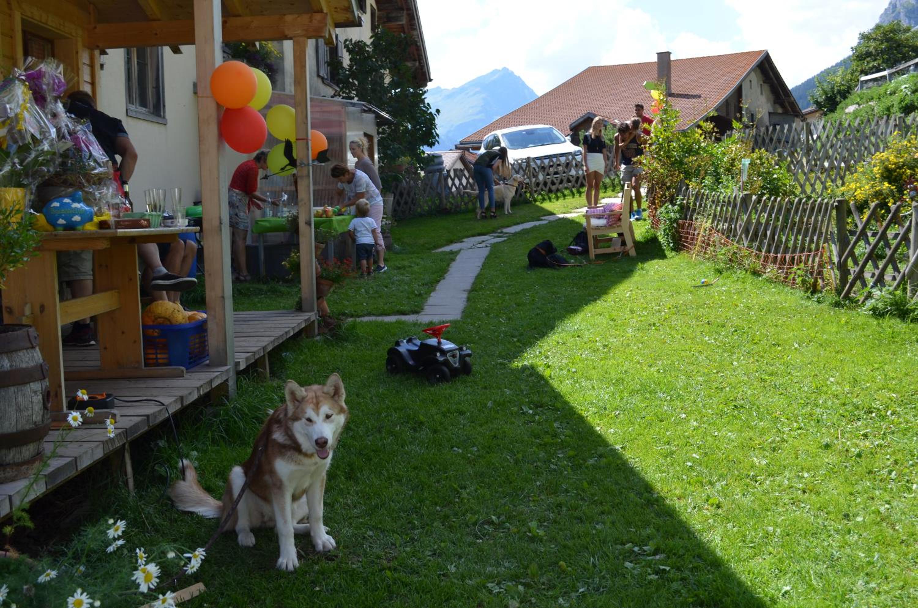 Photo 14
