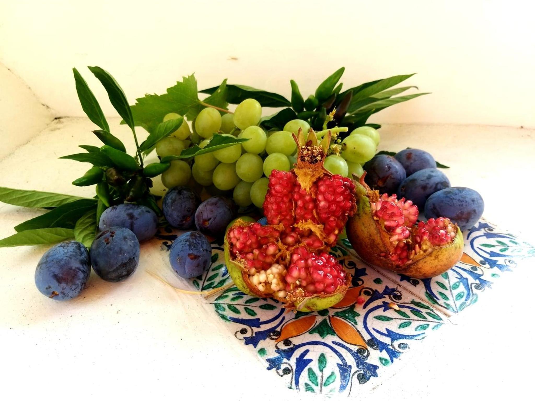 Photo 20
