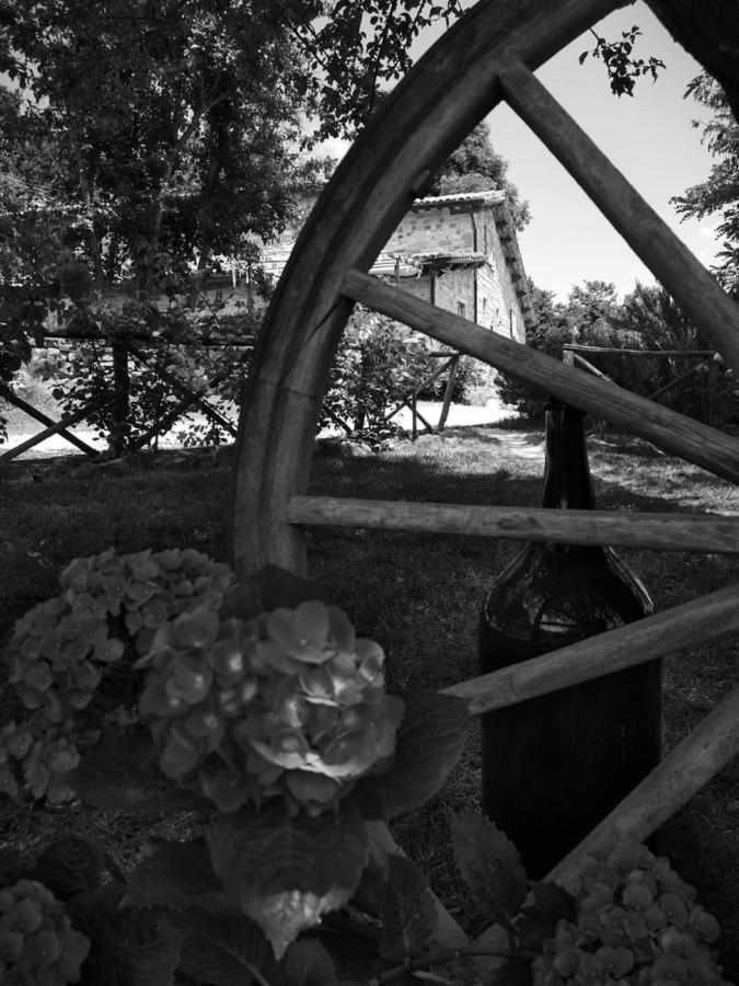 Agriturismo Montesalce