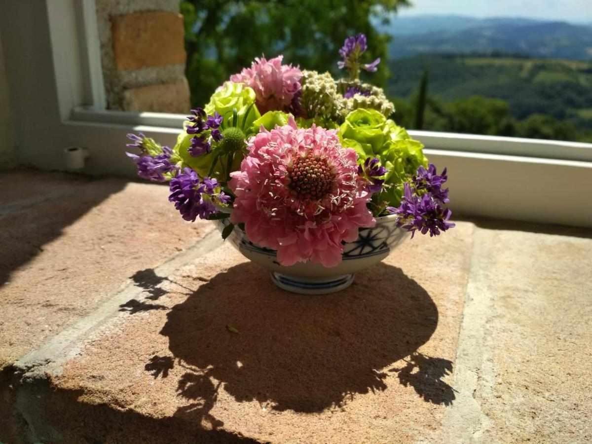 Agriturismo Montesalce