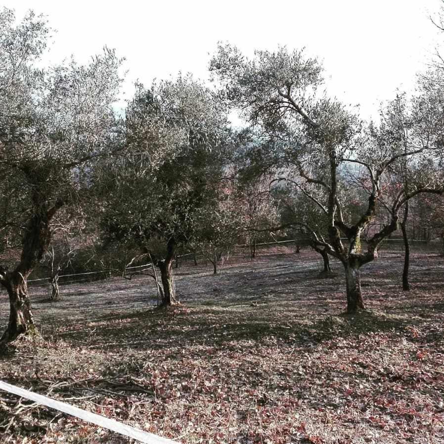 Agriturismo Montesalce