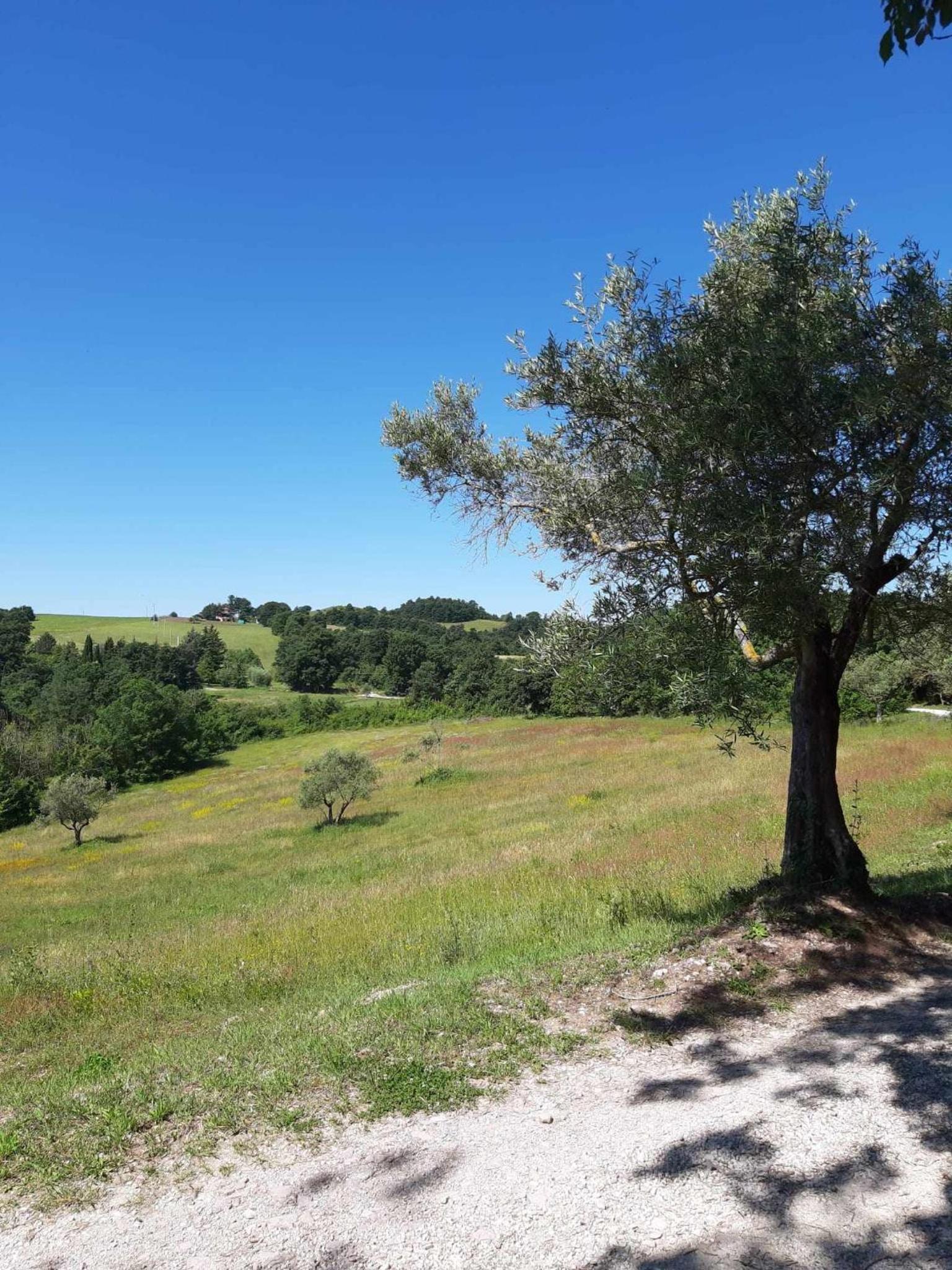 Agriturismo Montesalce