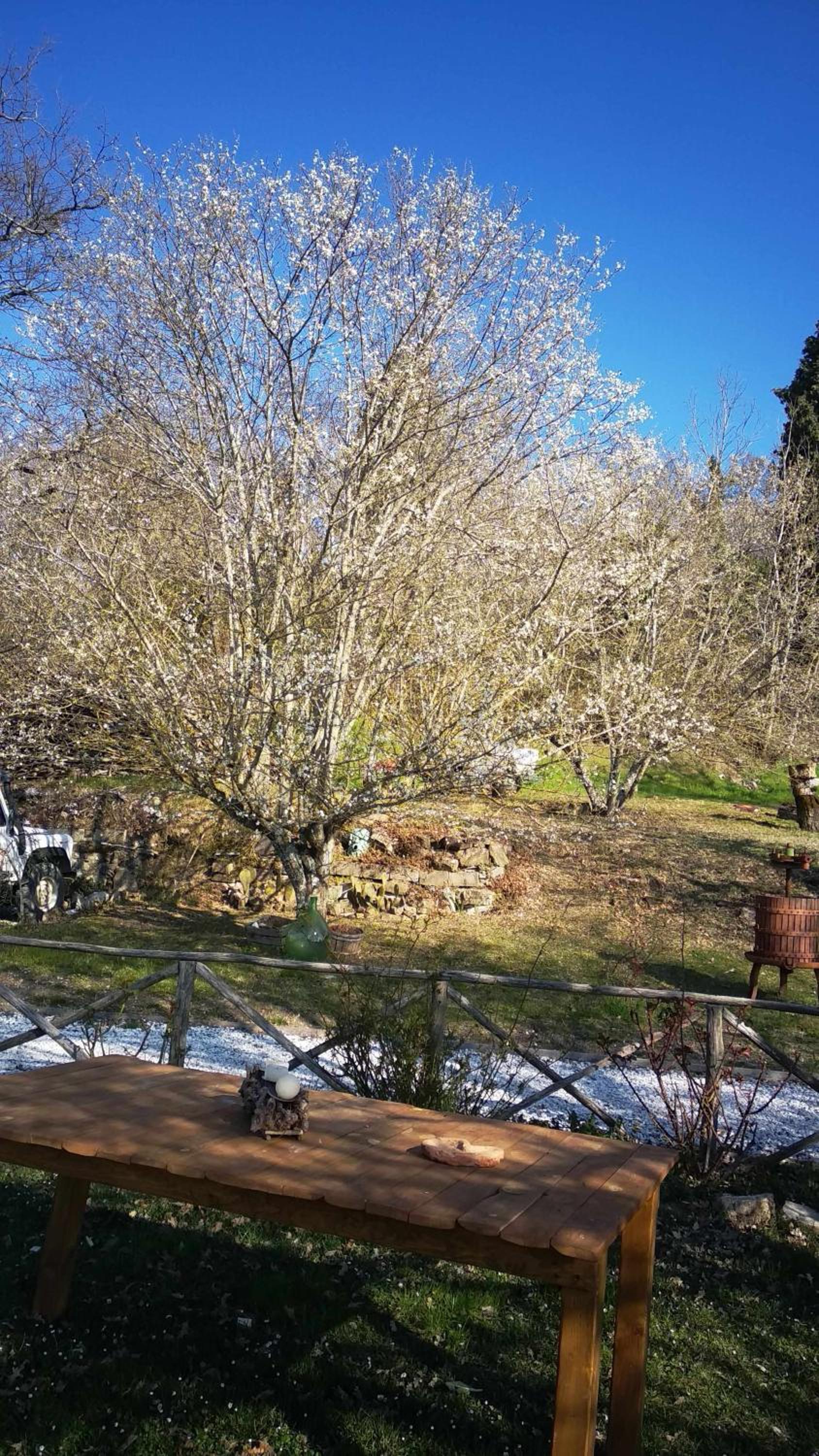 Agriturismo Montesalce