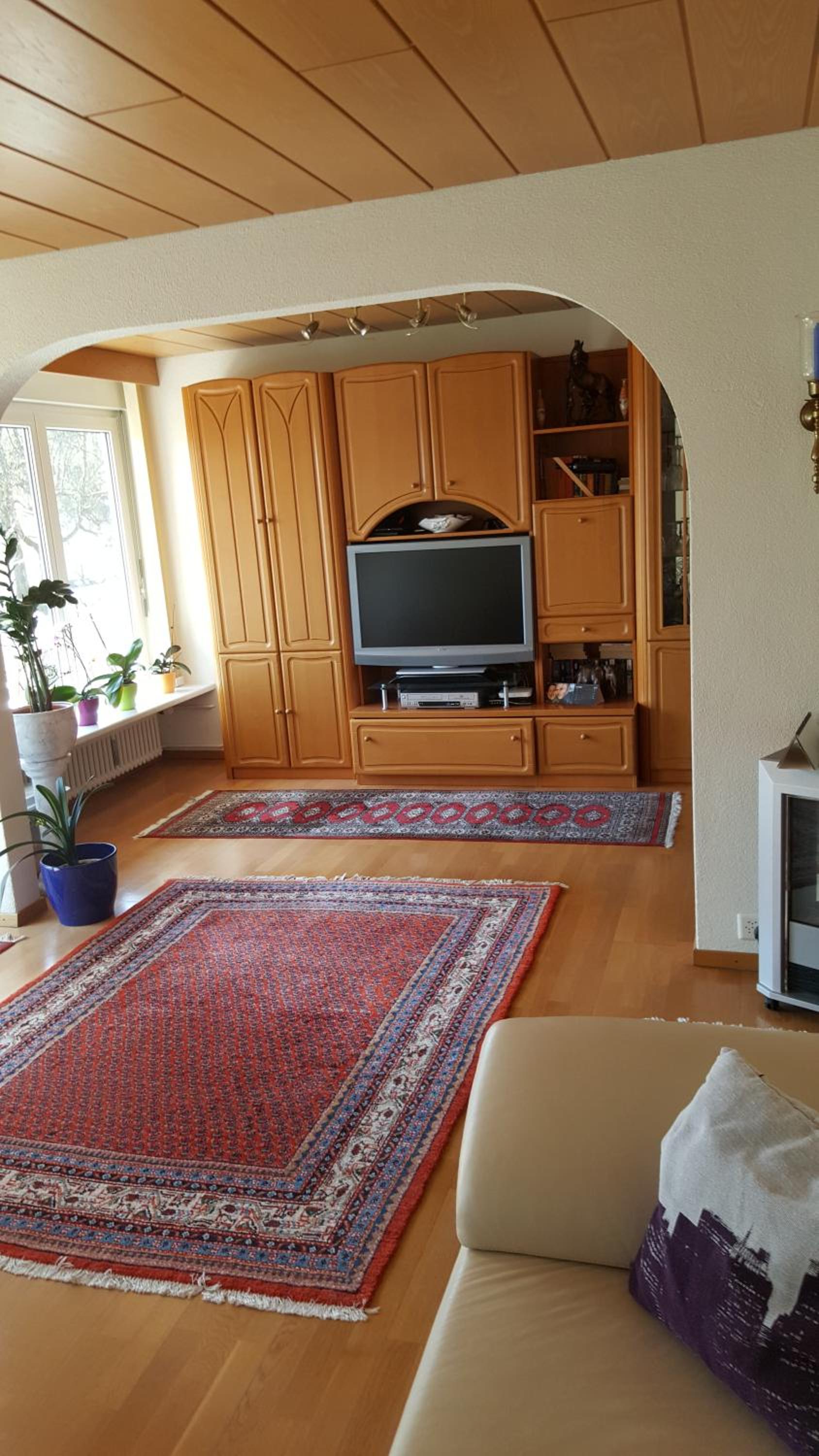Schaffhausen Munot