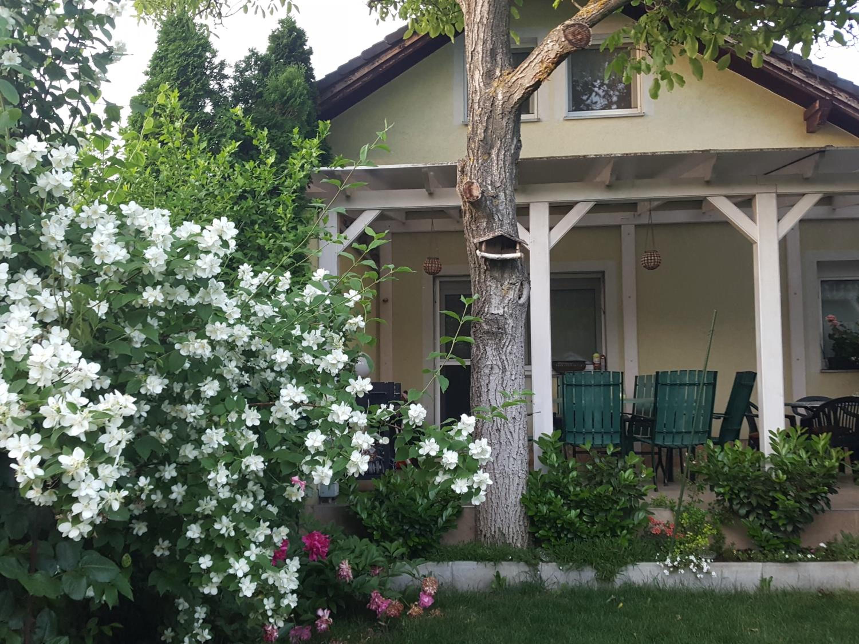 Photo 29