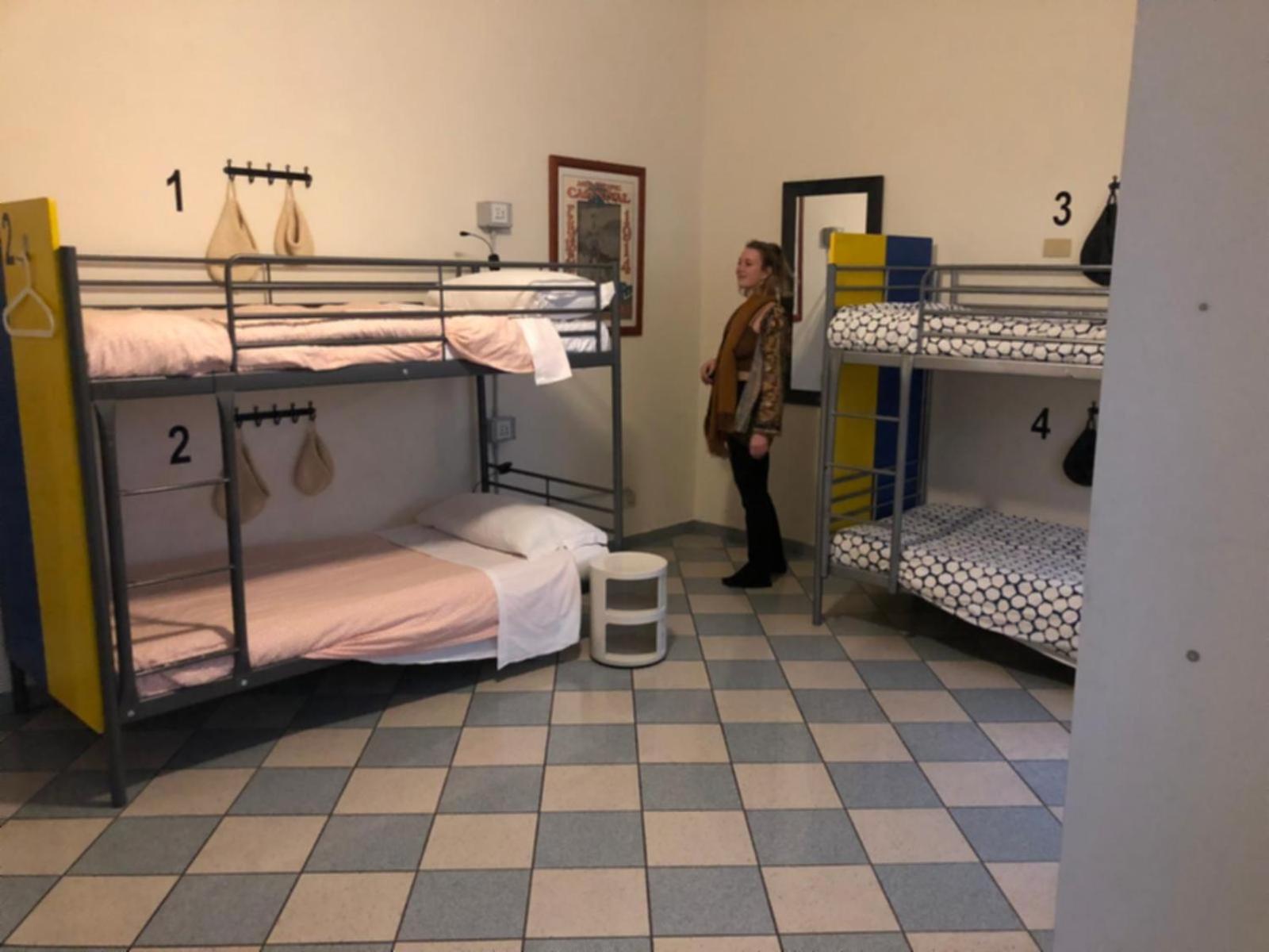 The Beehive Hostel