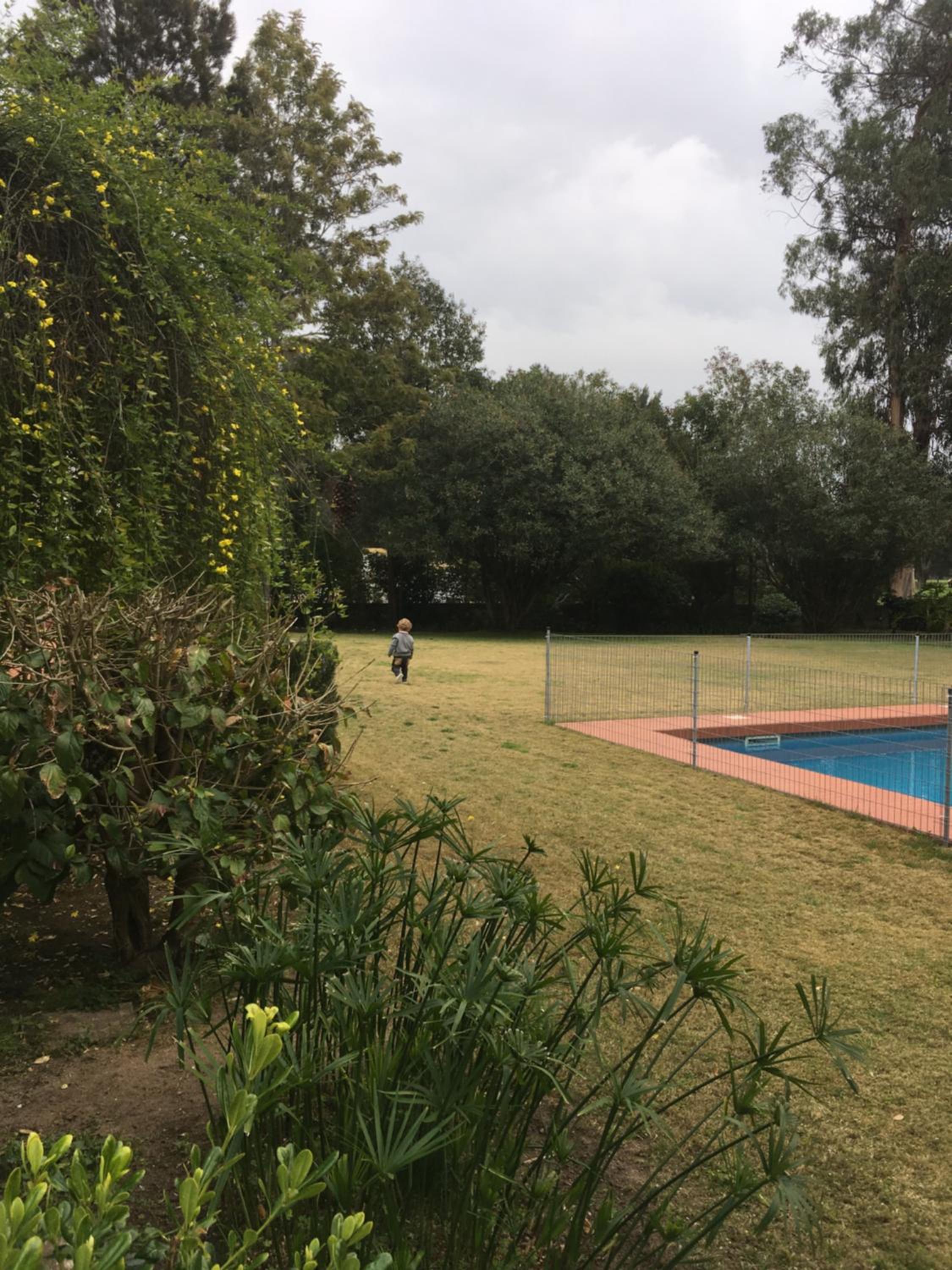 Photo 25