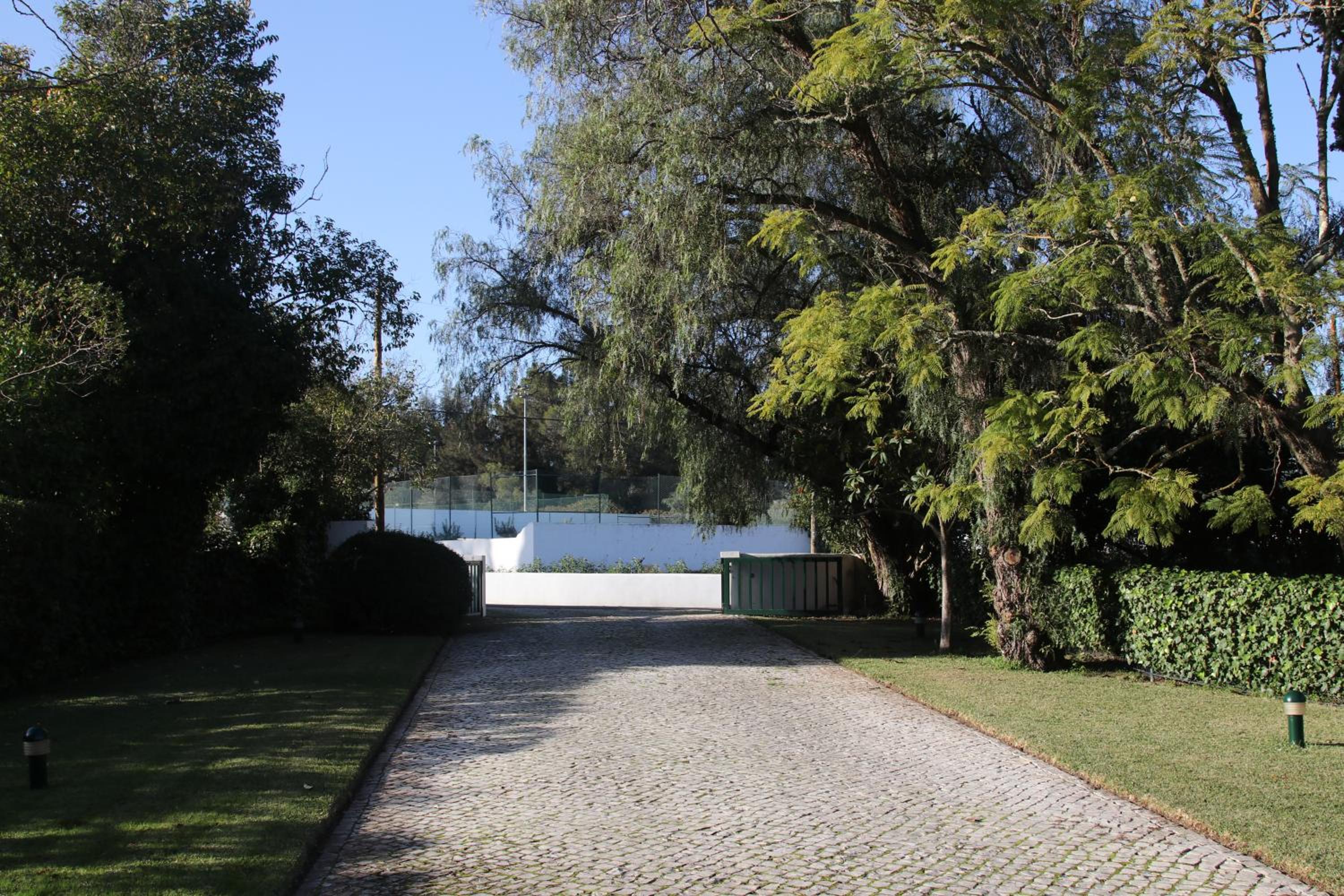 Photo 26