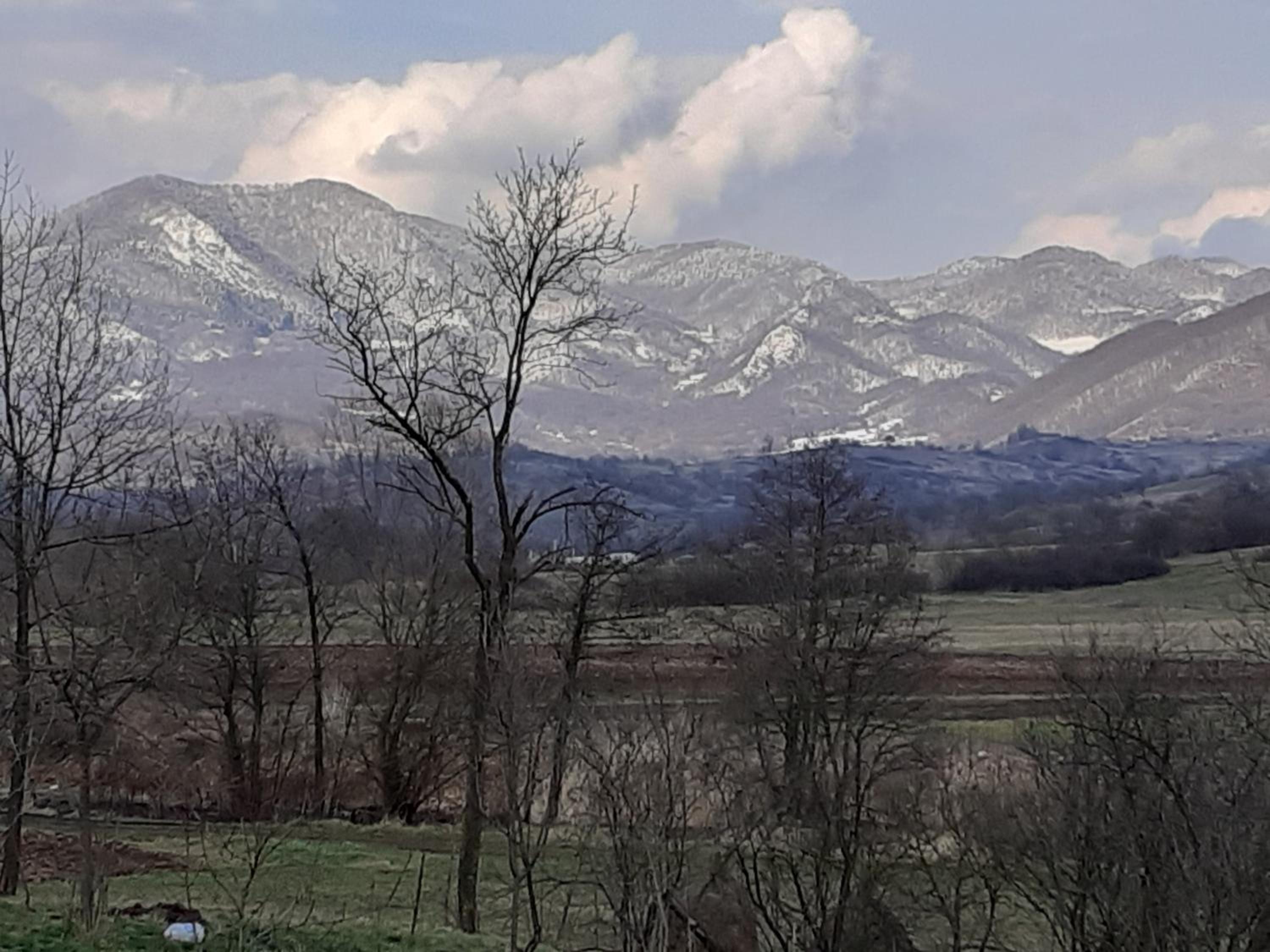 Casa cu flori view 2