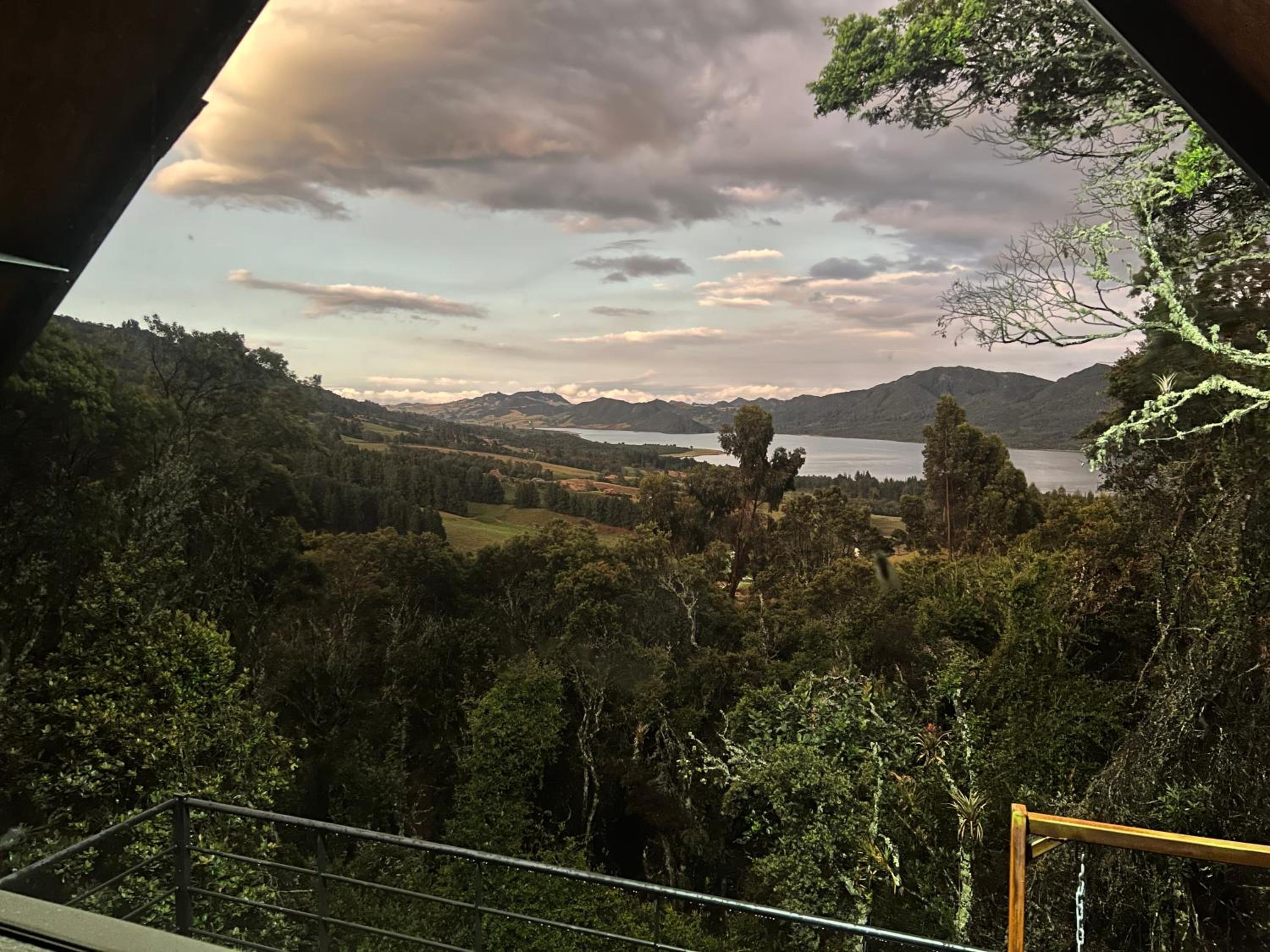 Mirador Bosque Gran Torino Neusa