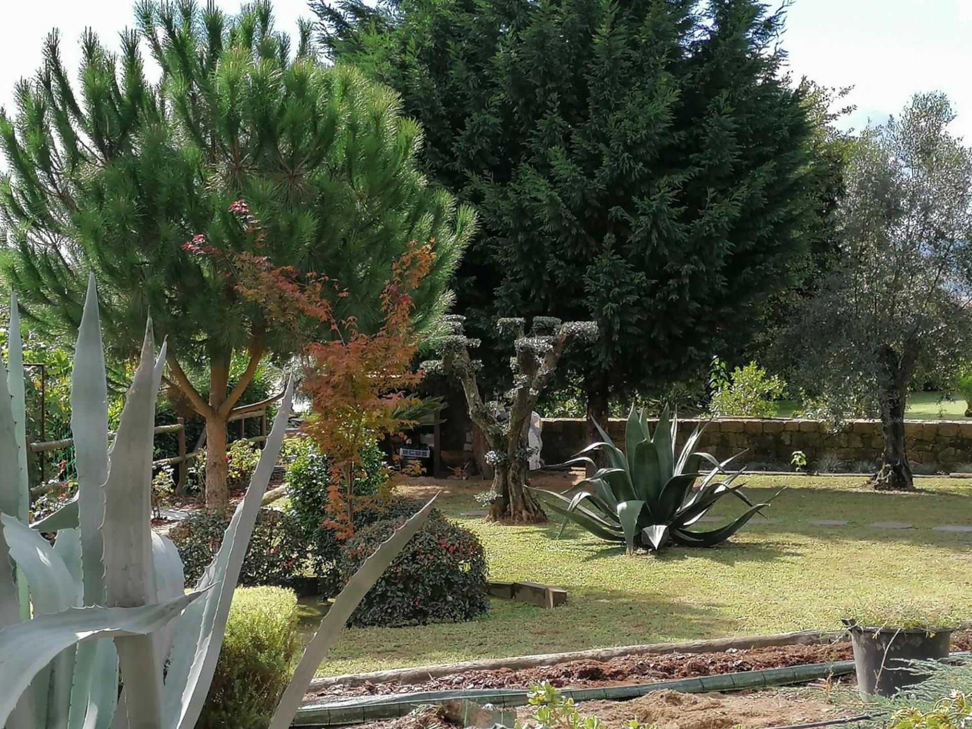 Photo 46