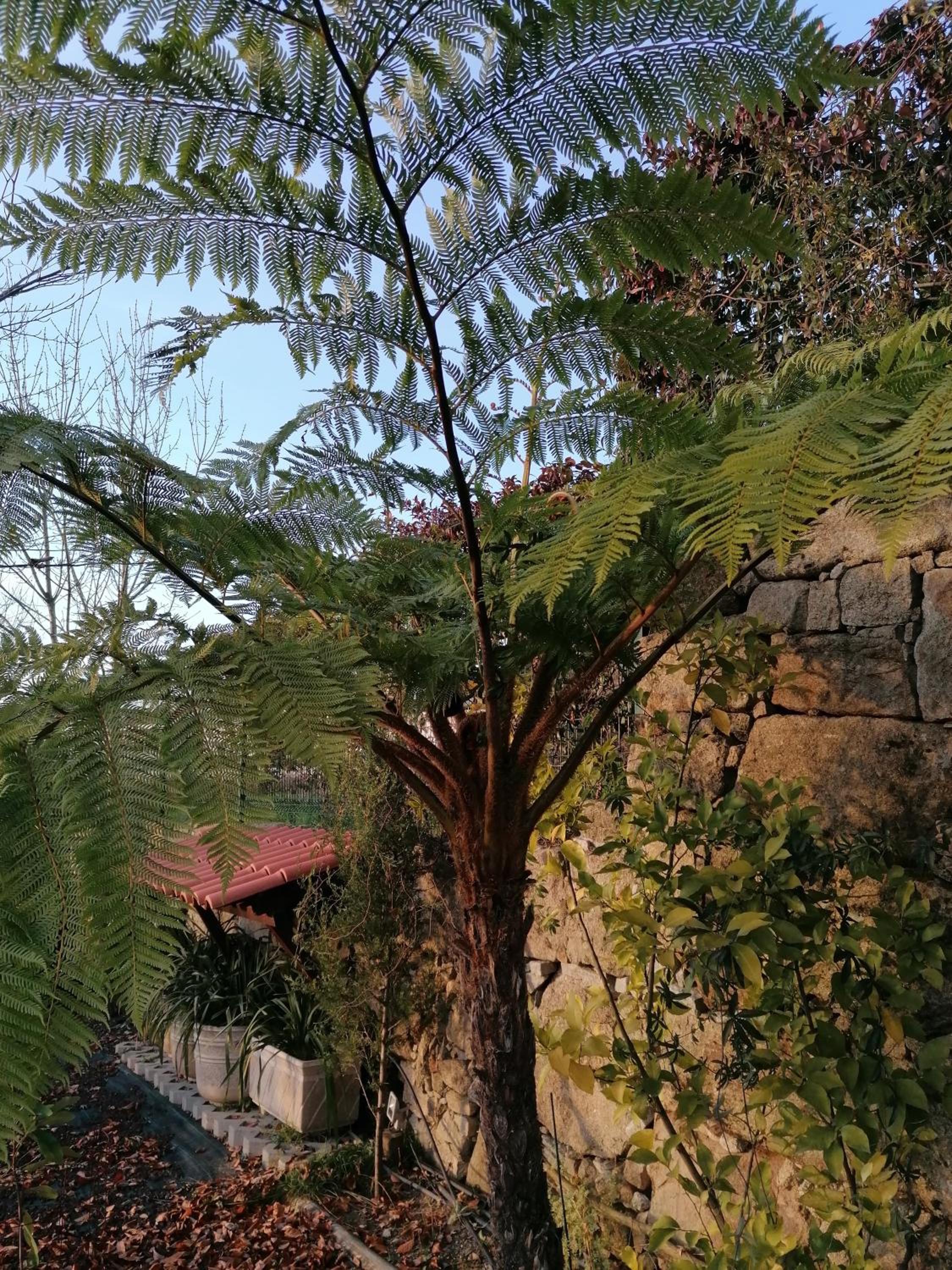Photo 42