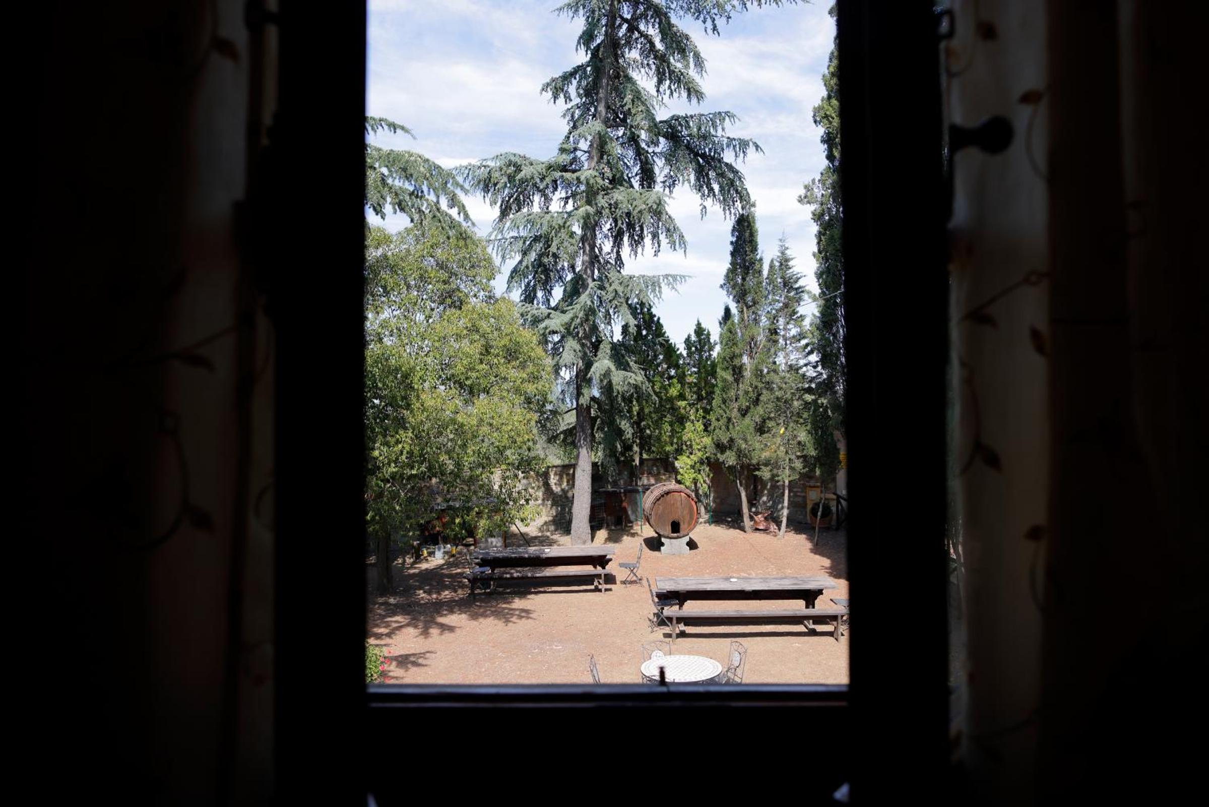 Photo 42