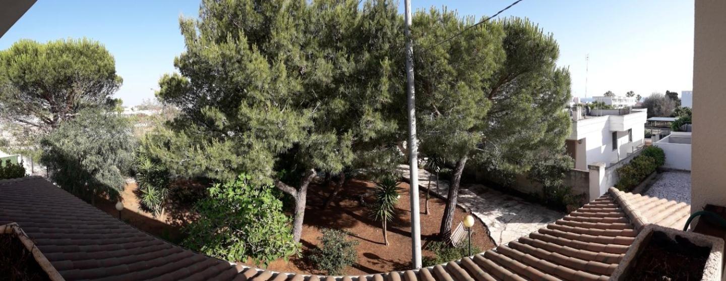 VILLA MIRABELLE , Torresangiovanni Marina di Ugento (LE) view 4