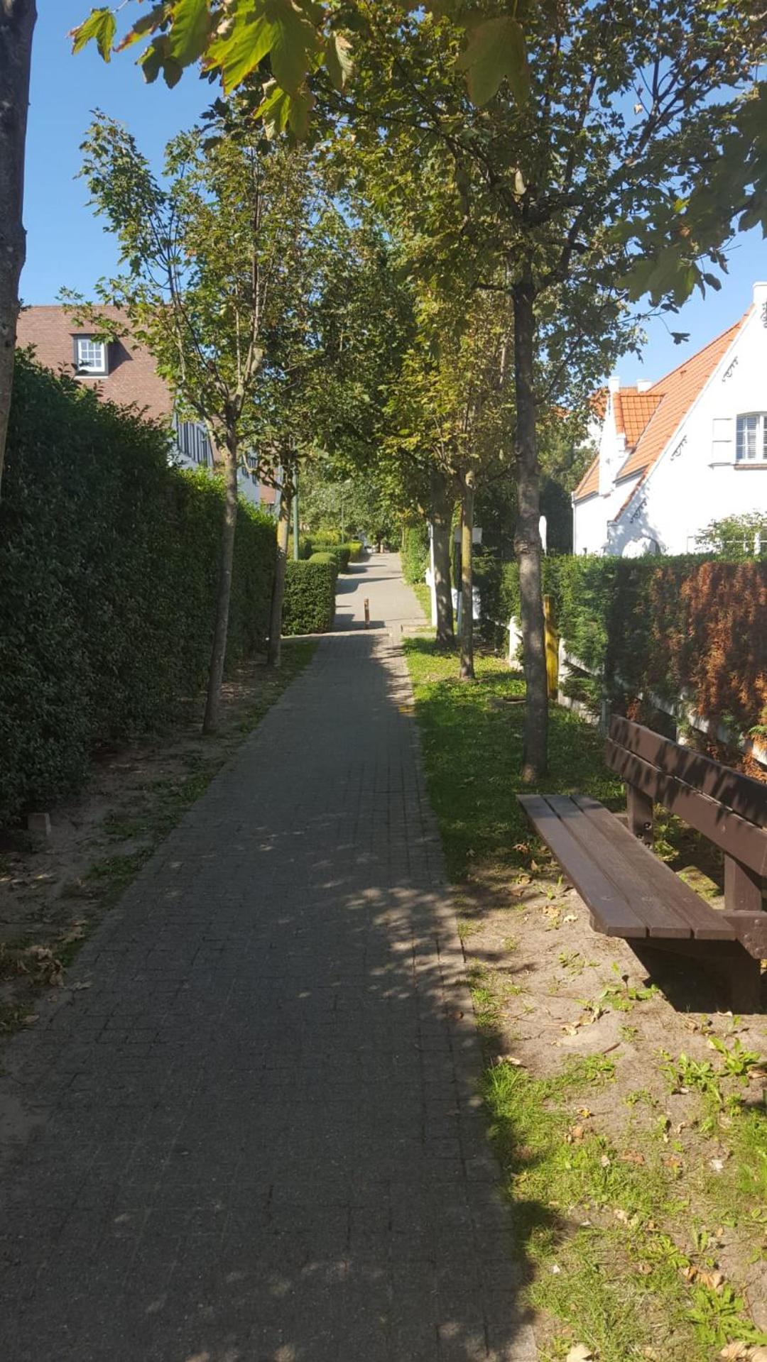 Photo 39