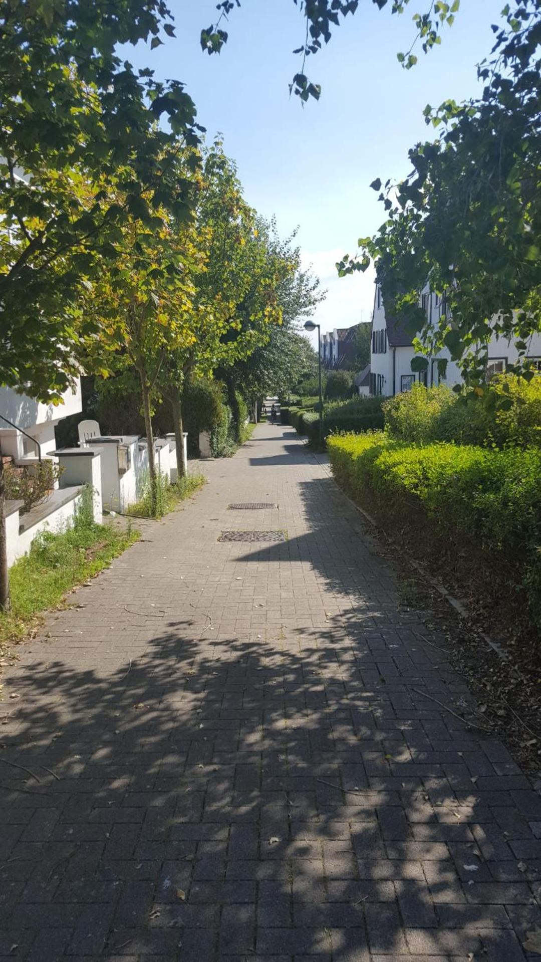 Photo 38