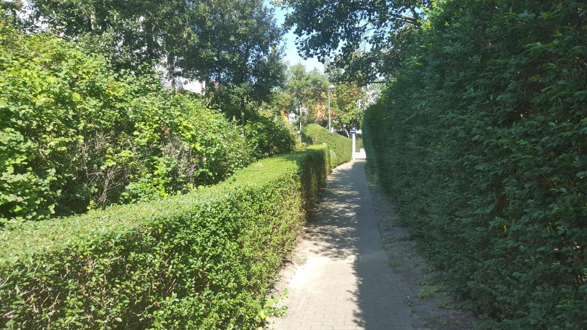 Photo 40