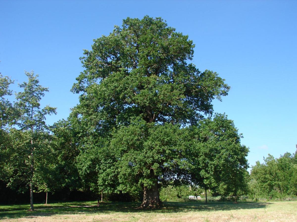 Photo 27