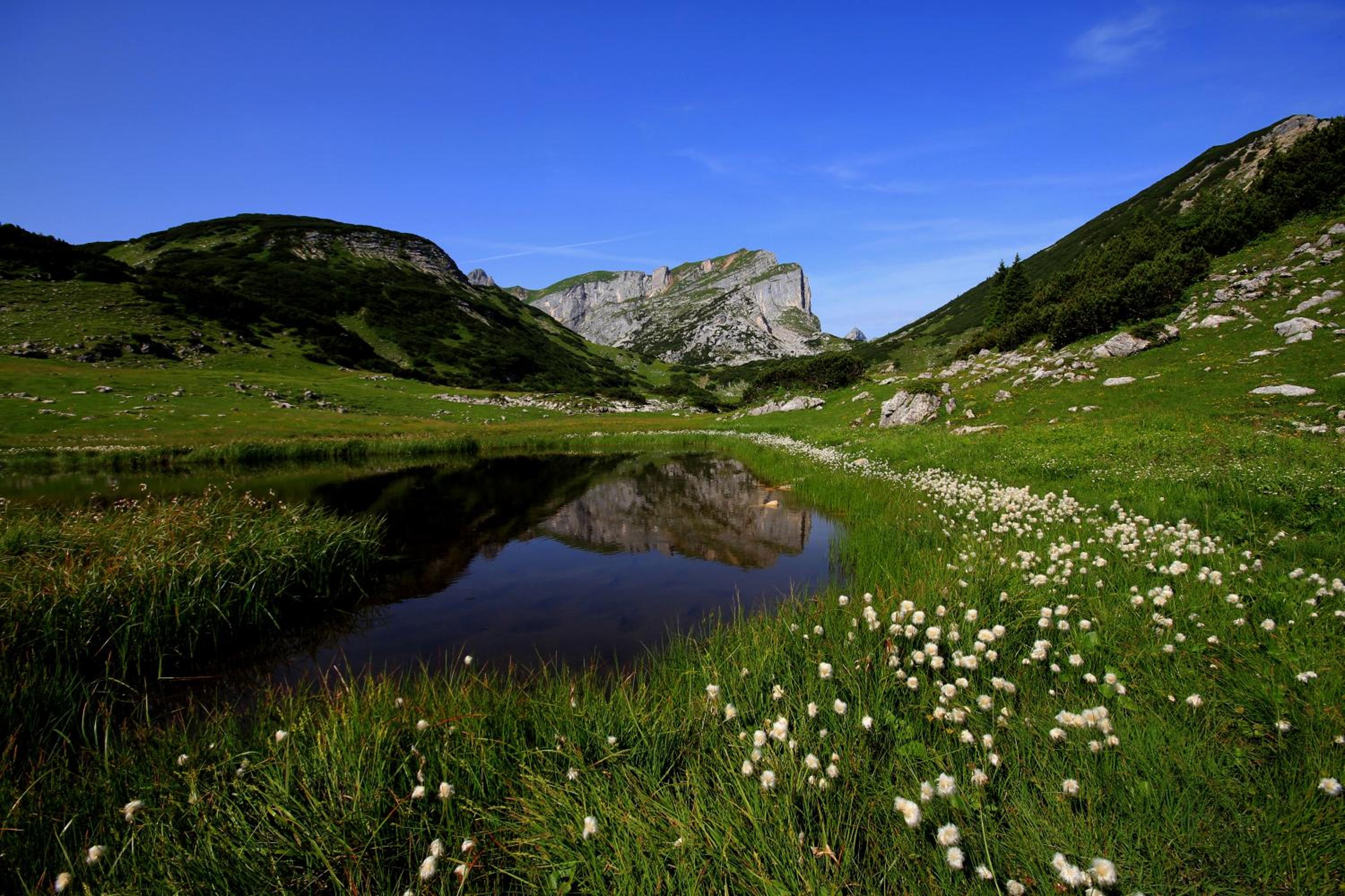 Photo 46