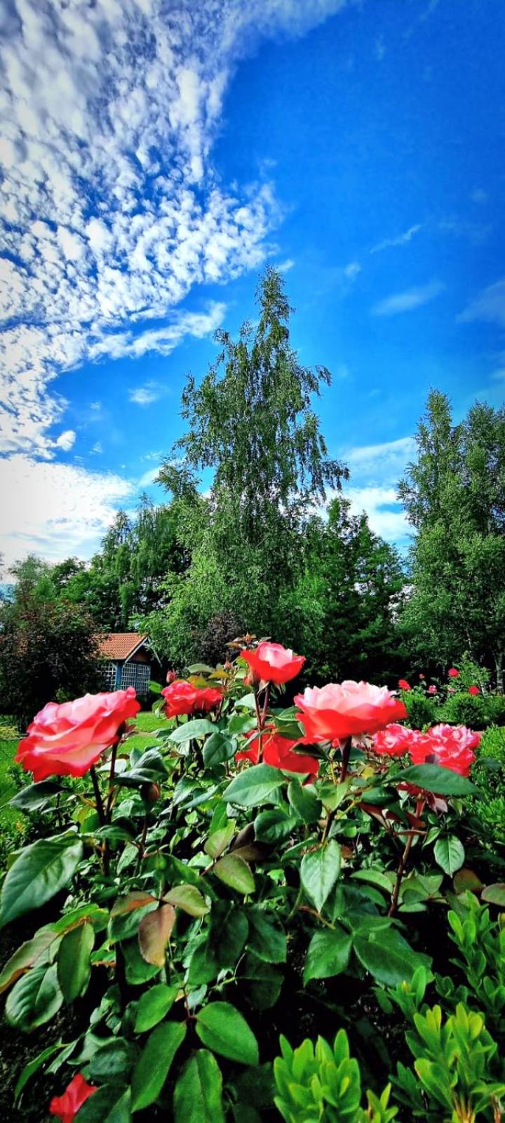 Župė
