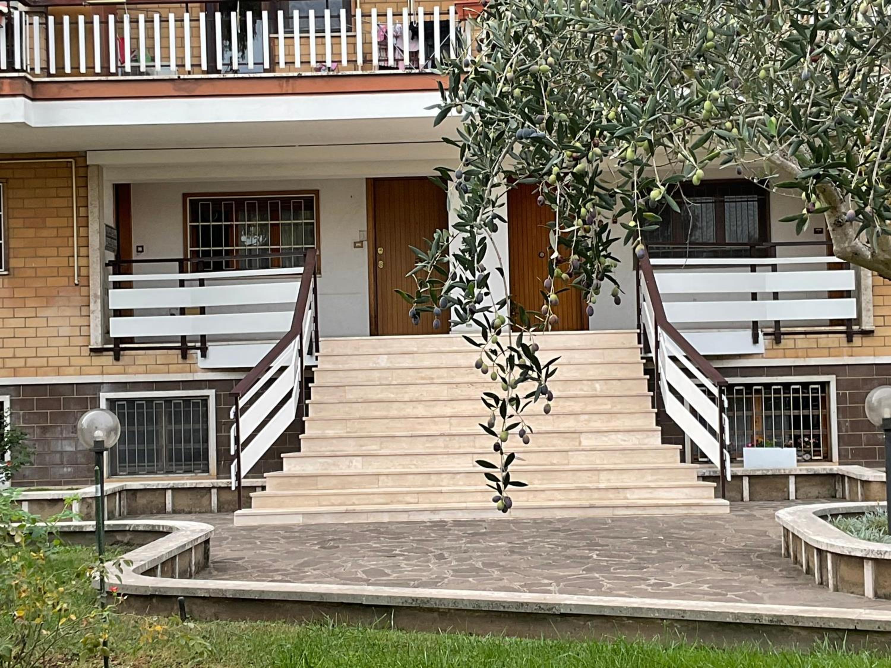 Mostacciano Roma IFO