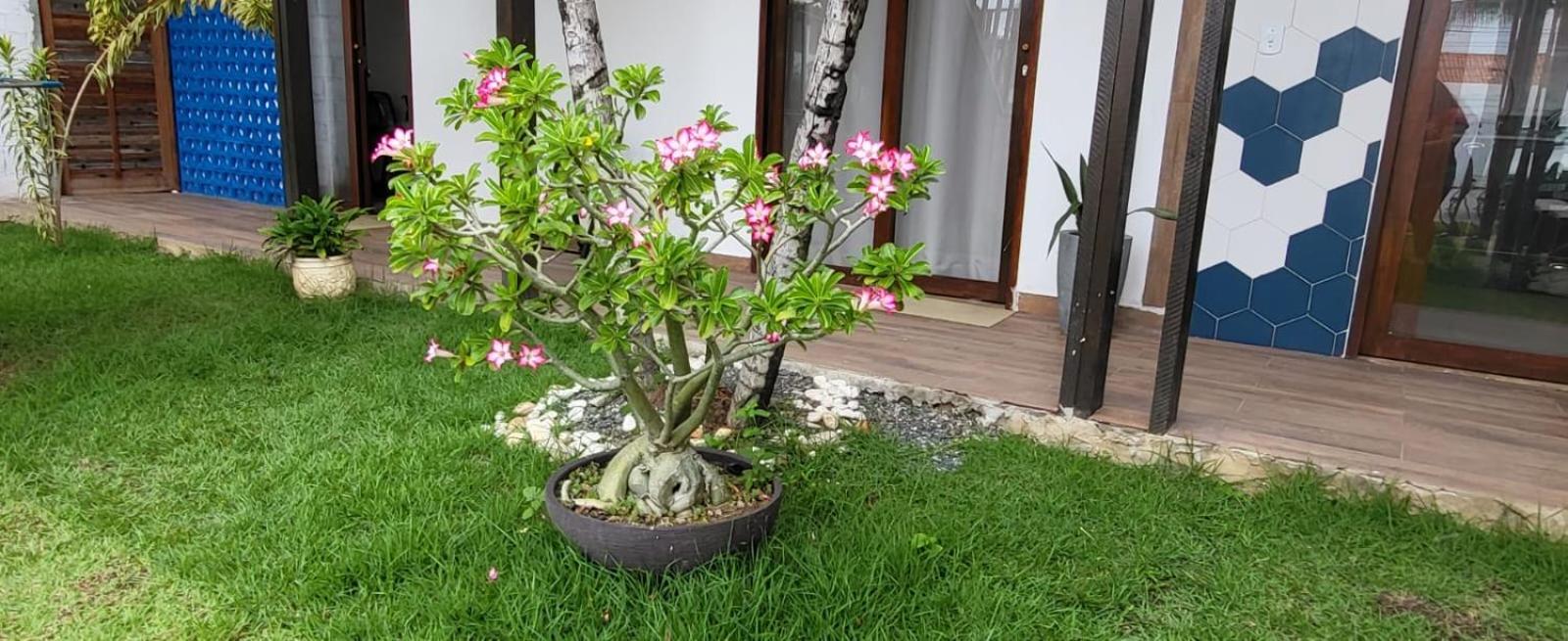 Villa Atalaia view 3