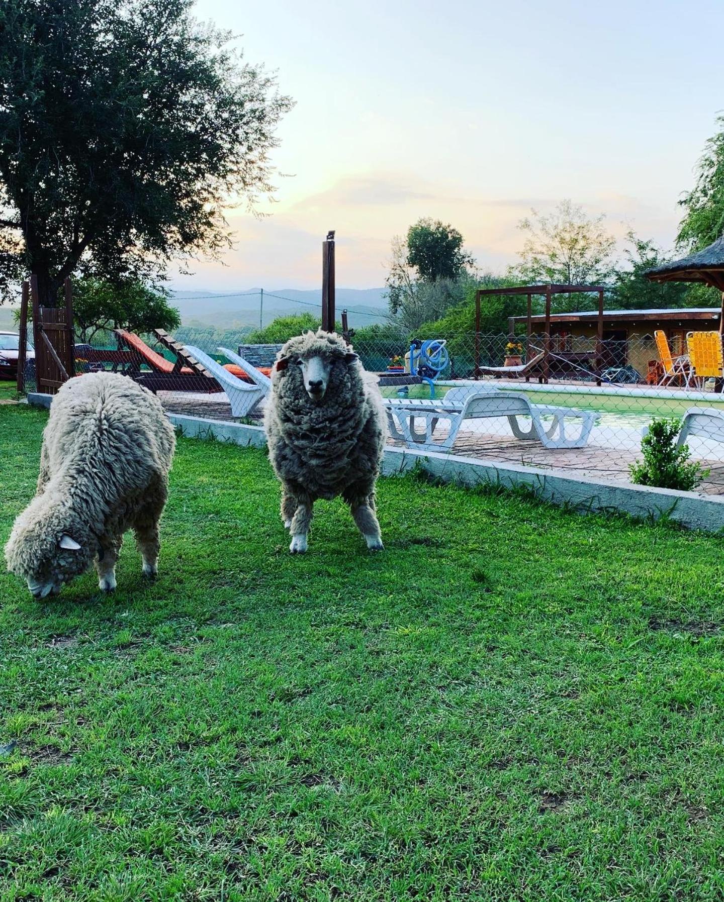 Posada La Candelaria