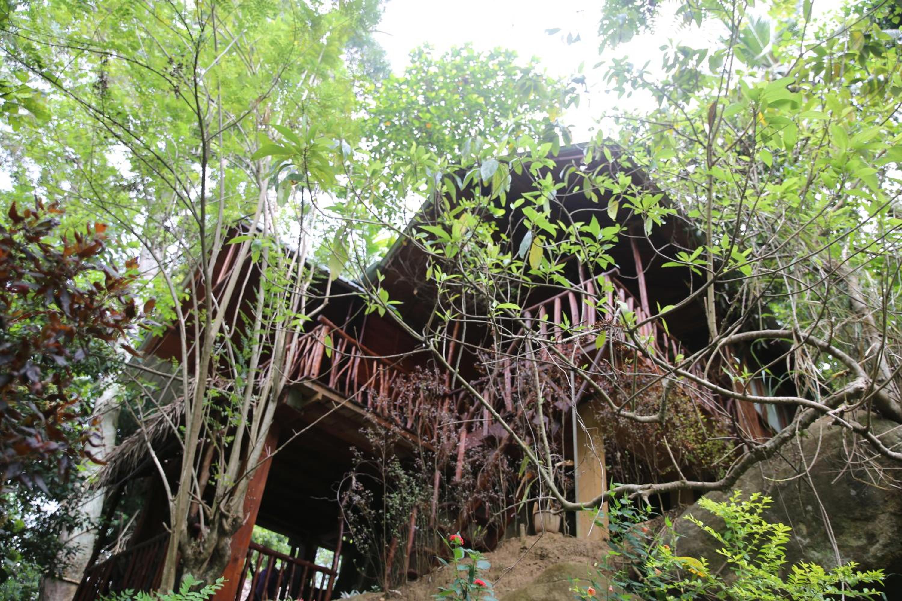 Jungle Face Inn view 2