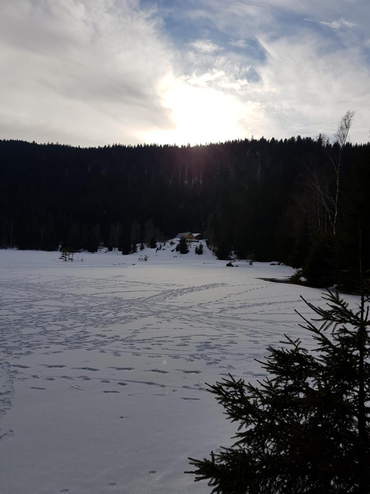 Feuersalamander Appartement am Predigtstuhl