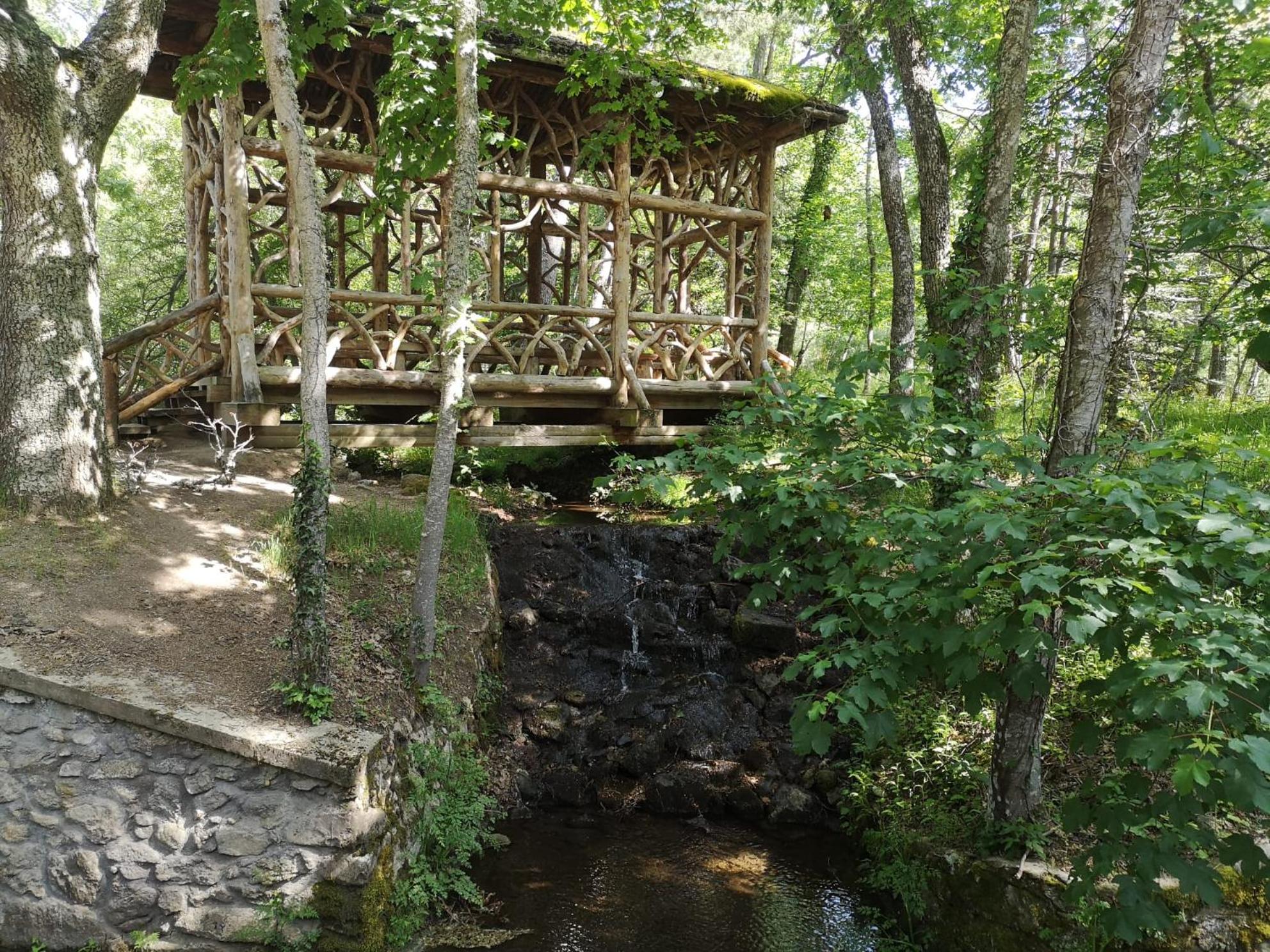 Photo 8