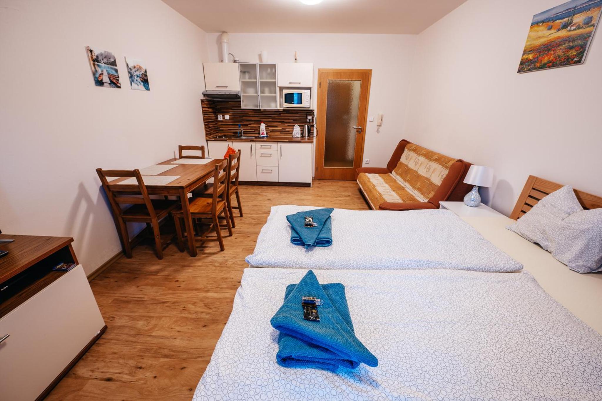 Lipno nad Vltavou - Apartman 23 - WiFi, Parking, Netflix view 2