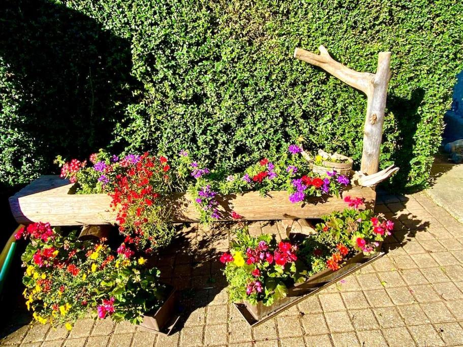Gemütliche Ferienwohnung im Berner Oberland view 3