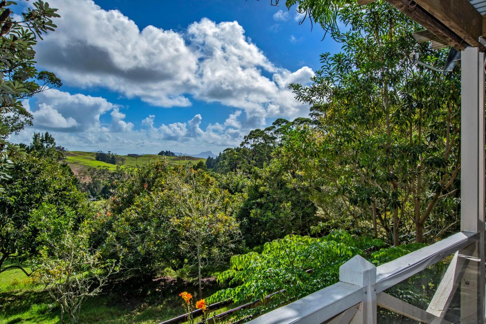 Francis Orchard Country Stay - Waipu Holiday Home view 5