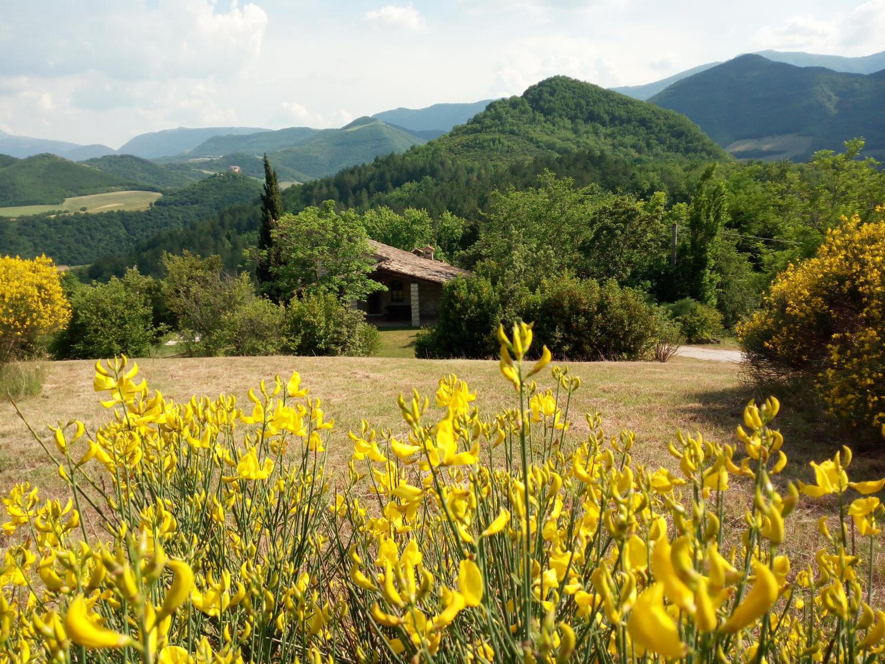 Agriturismo del Frontino - Ca' Marianna view 3
