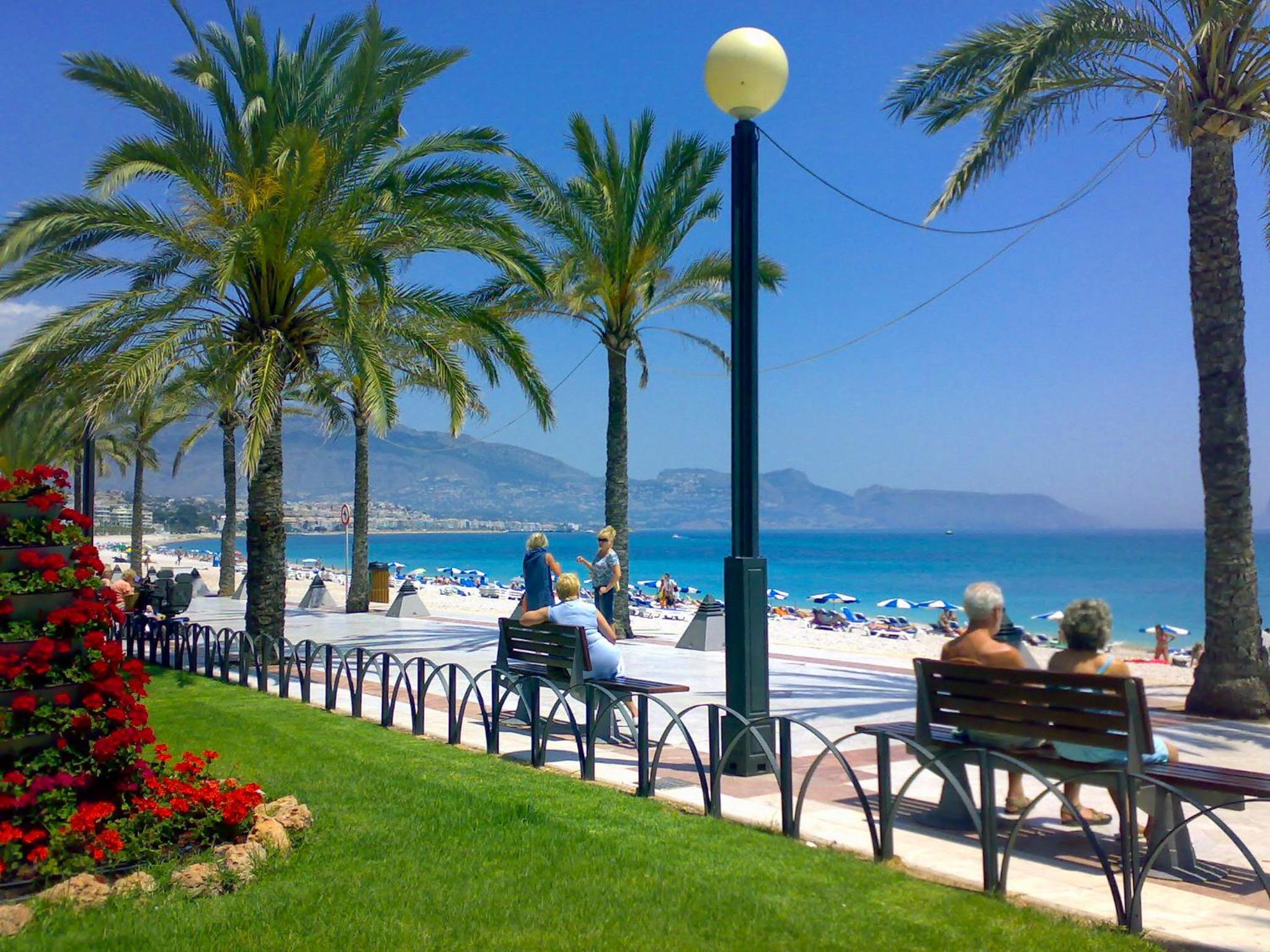Albir Azul